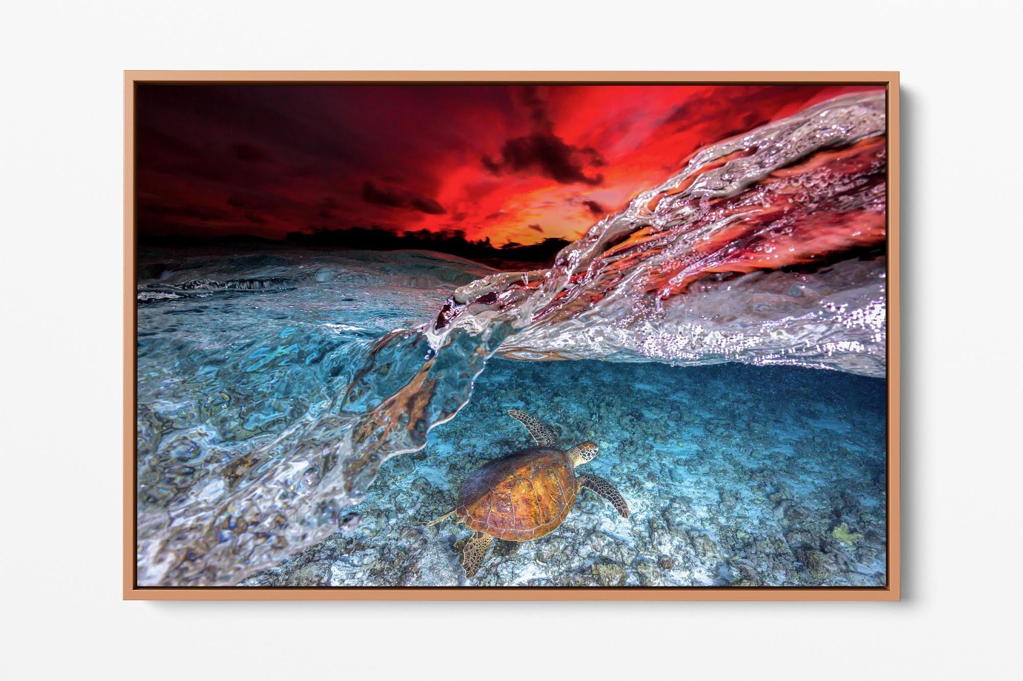 Sea Turtle Fire & Ice Sunset