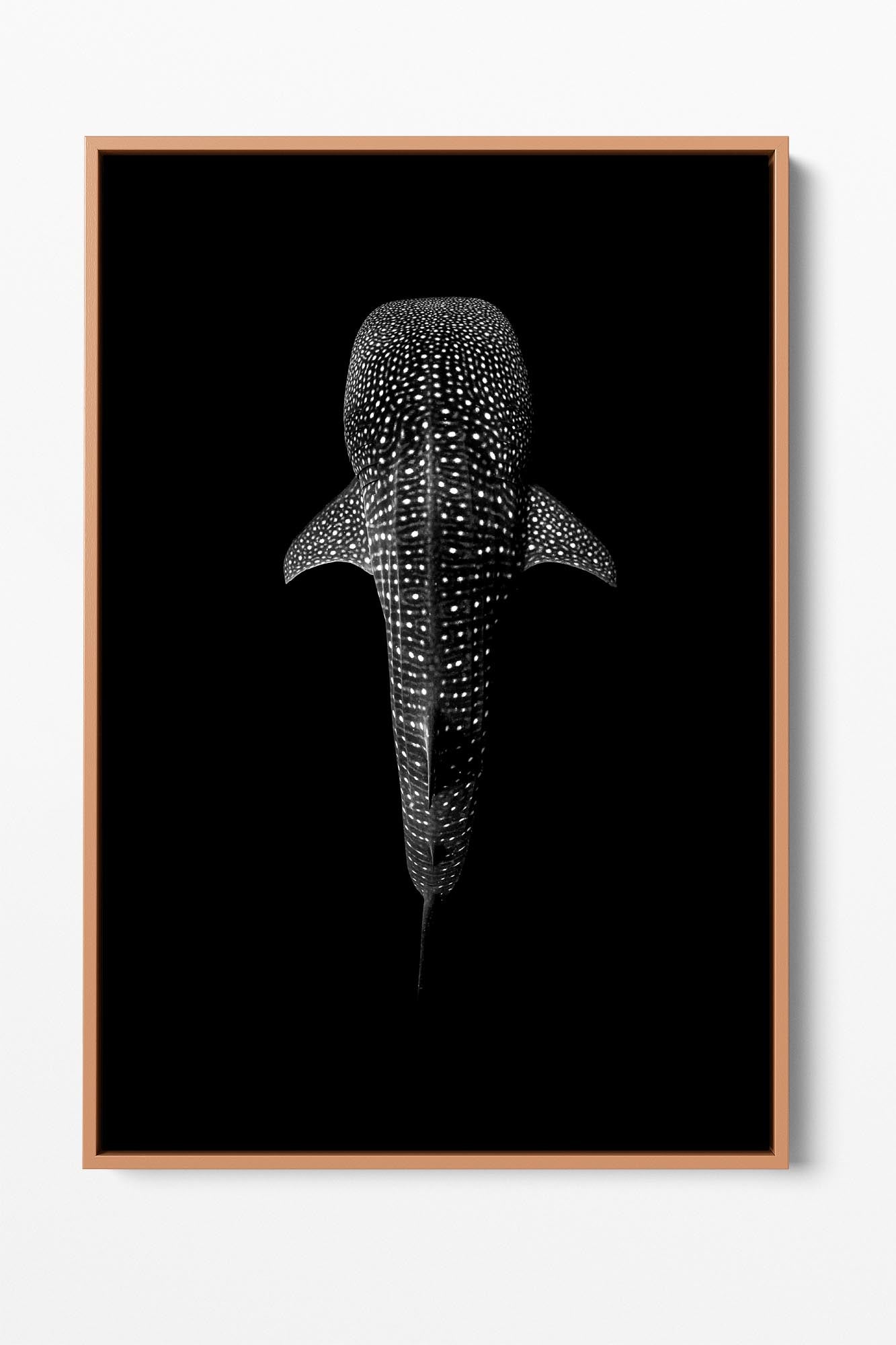 Whale Shark Symmetry | Vertical