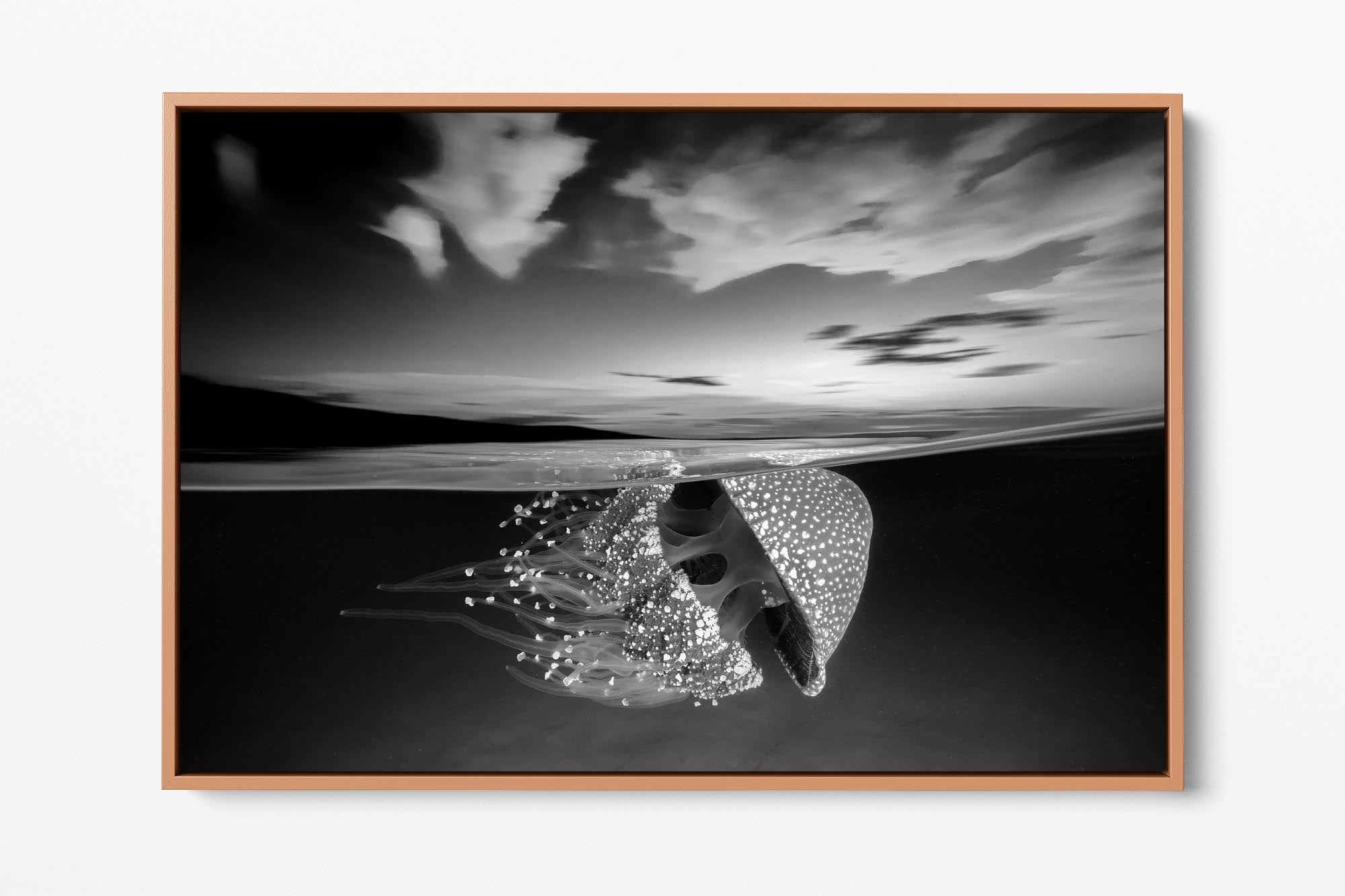 White Spotted Jellyfish Sunset | Monochrome