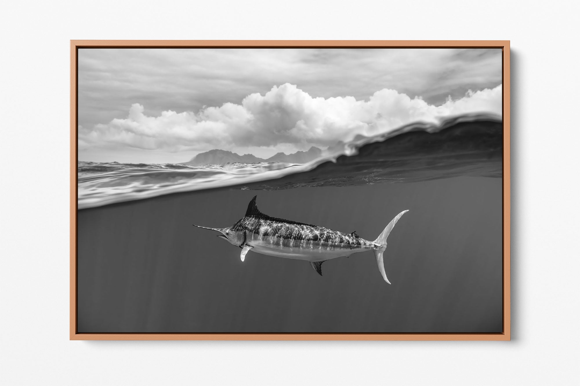 Blue Marlin Monochrome