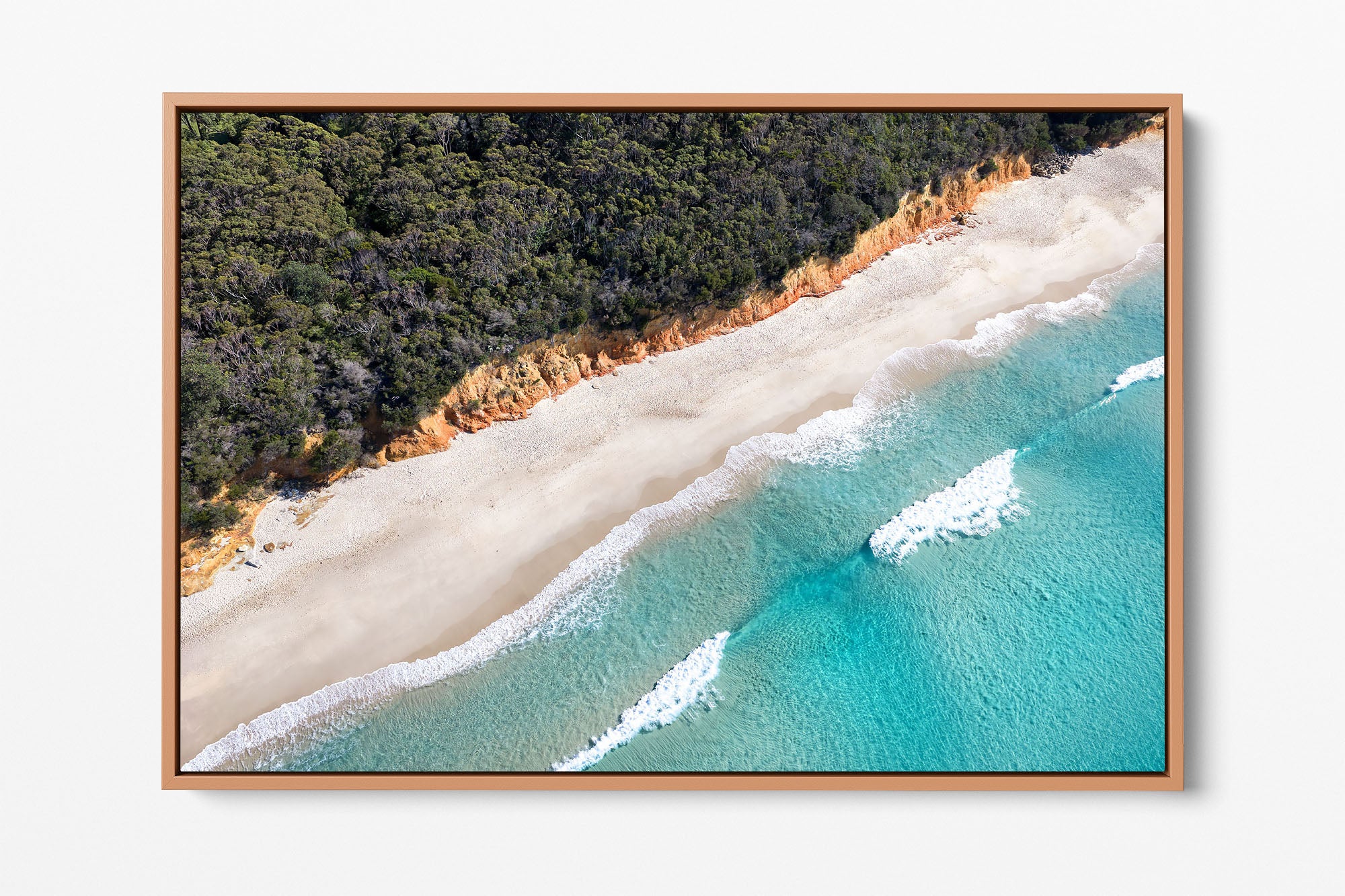 Nelsons Beach Bush Meets The Sea | Jervis Bay