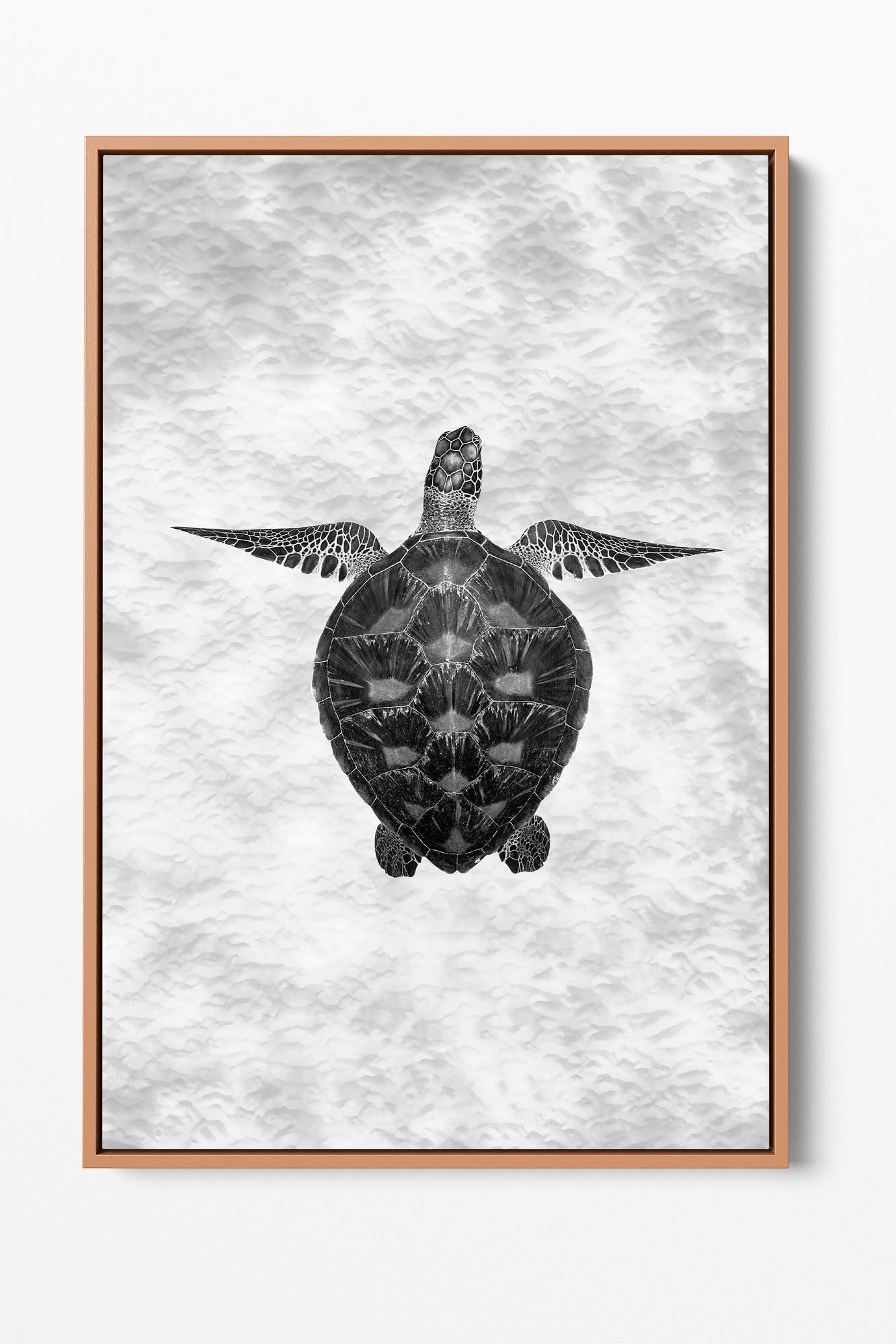 Green Sea Turtle Clarity Monochrome | Vertical