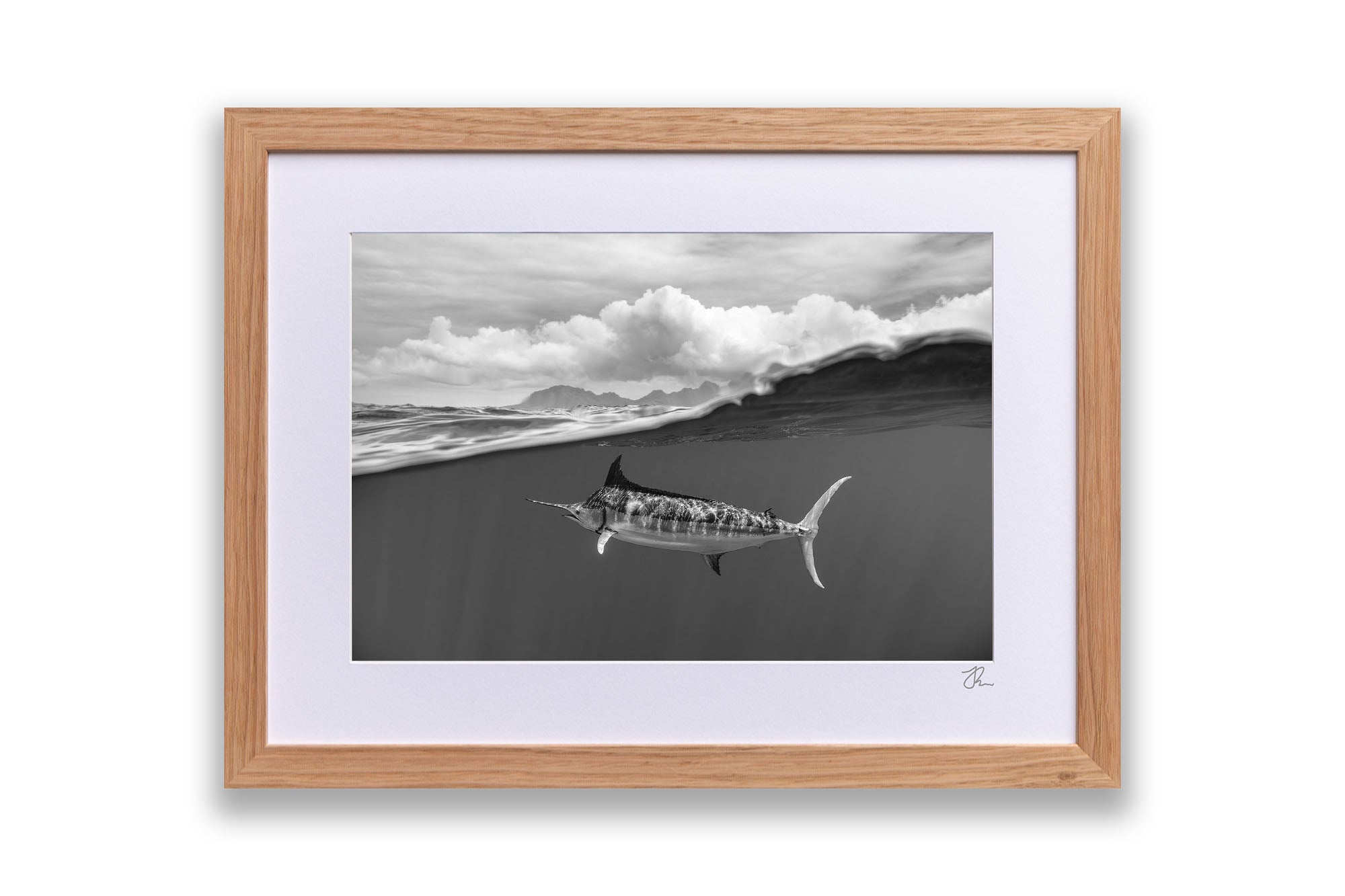 Blue Marlin Monochrome