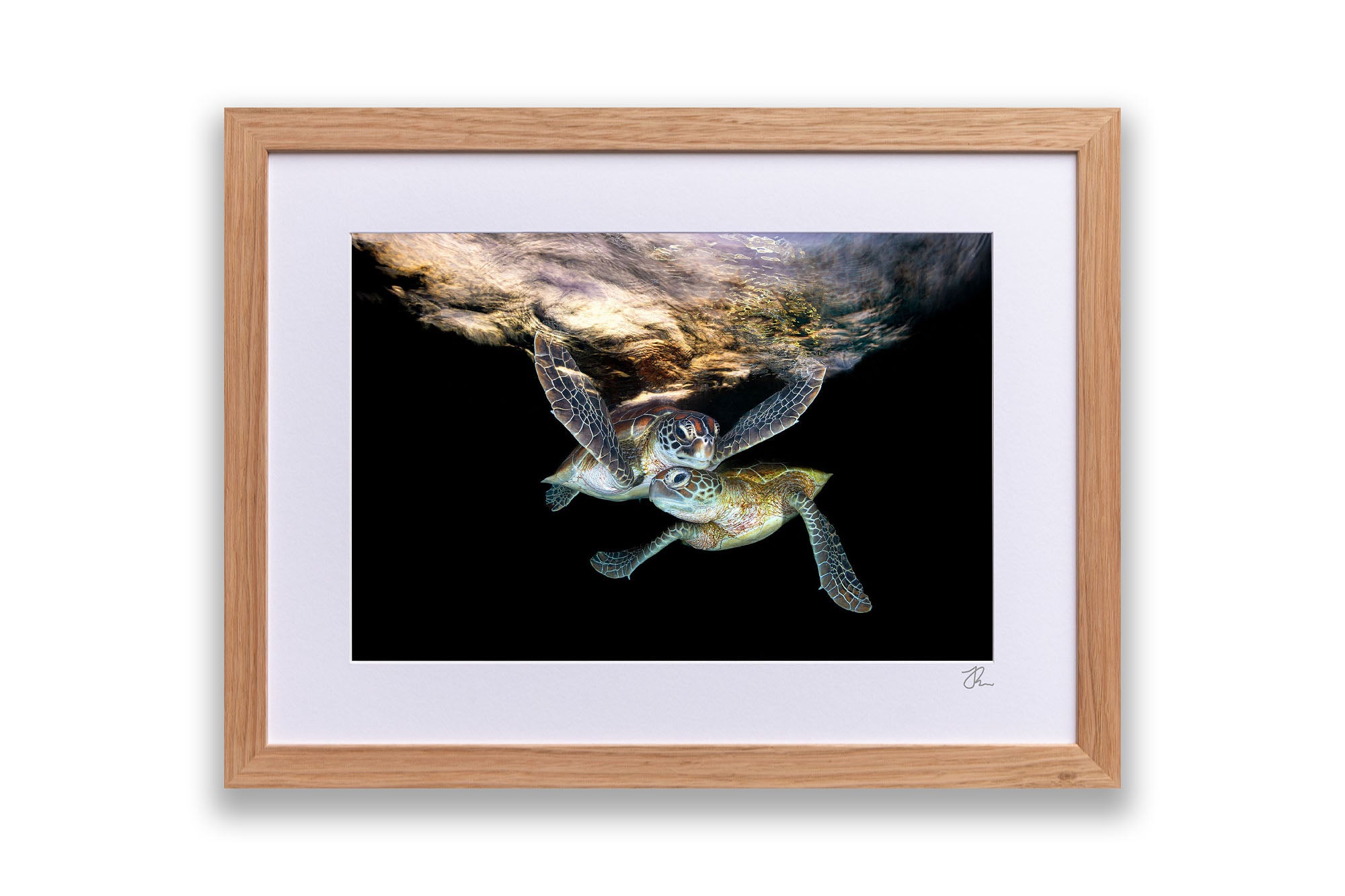 Double Trouble | Great Barrier Reef