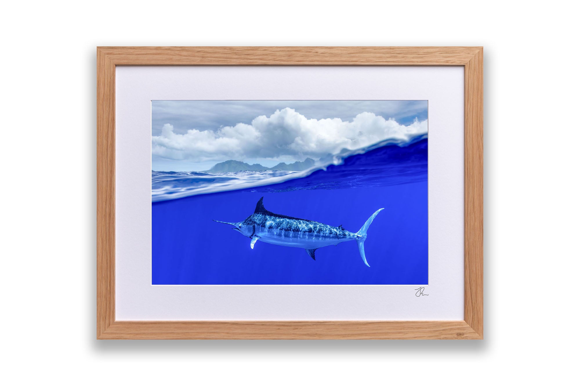 Over Under Blue Marlin