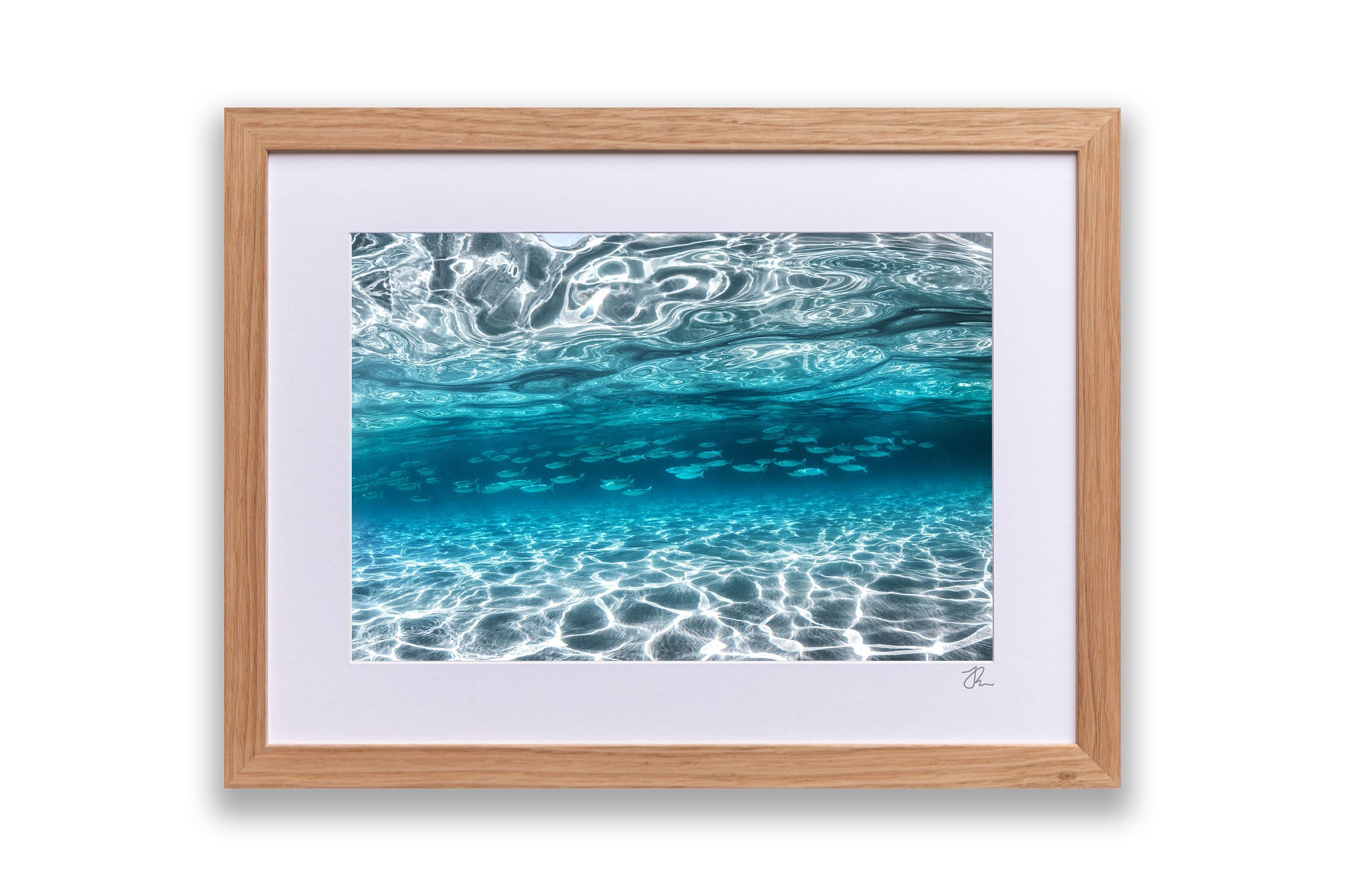 School of Fish Clarity | Jervis Bay