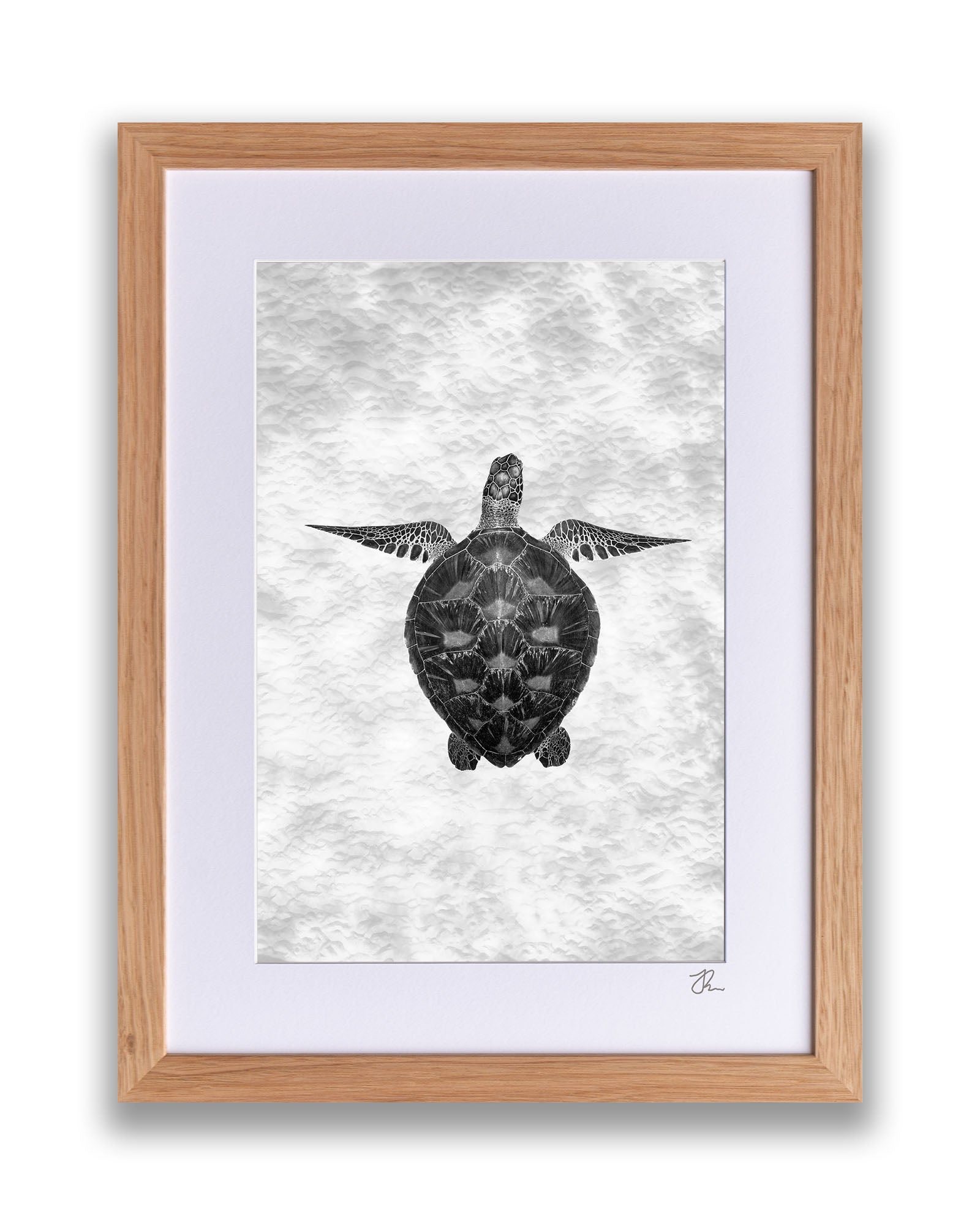 Green Sea Turtle Clarity Monochrome | Vertical