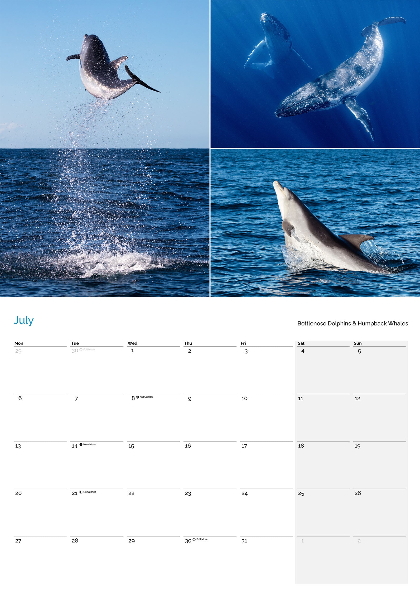 2026 Jervis Bay Calendar