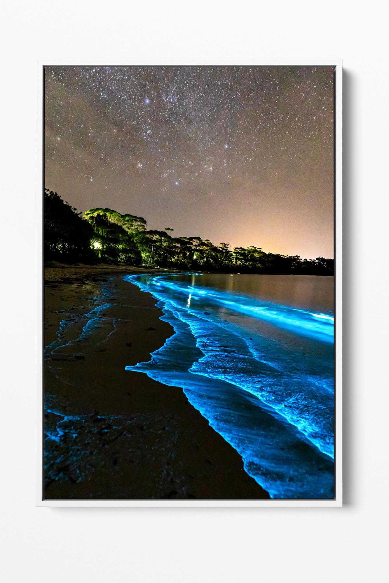 Bioluminescent waters | Vertical