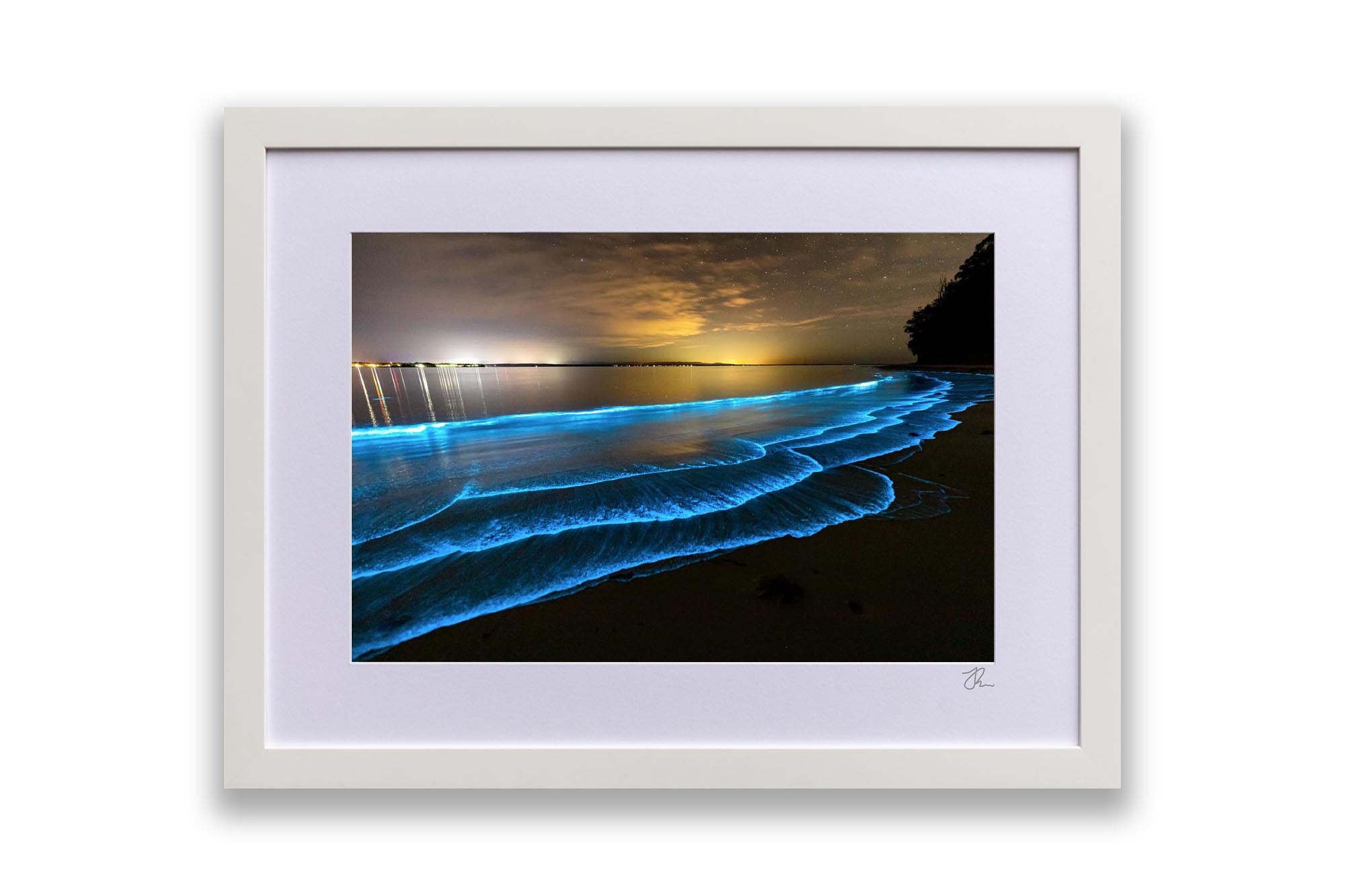 Bioluminescence | Jervis Bay