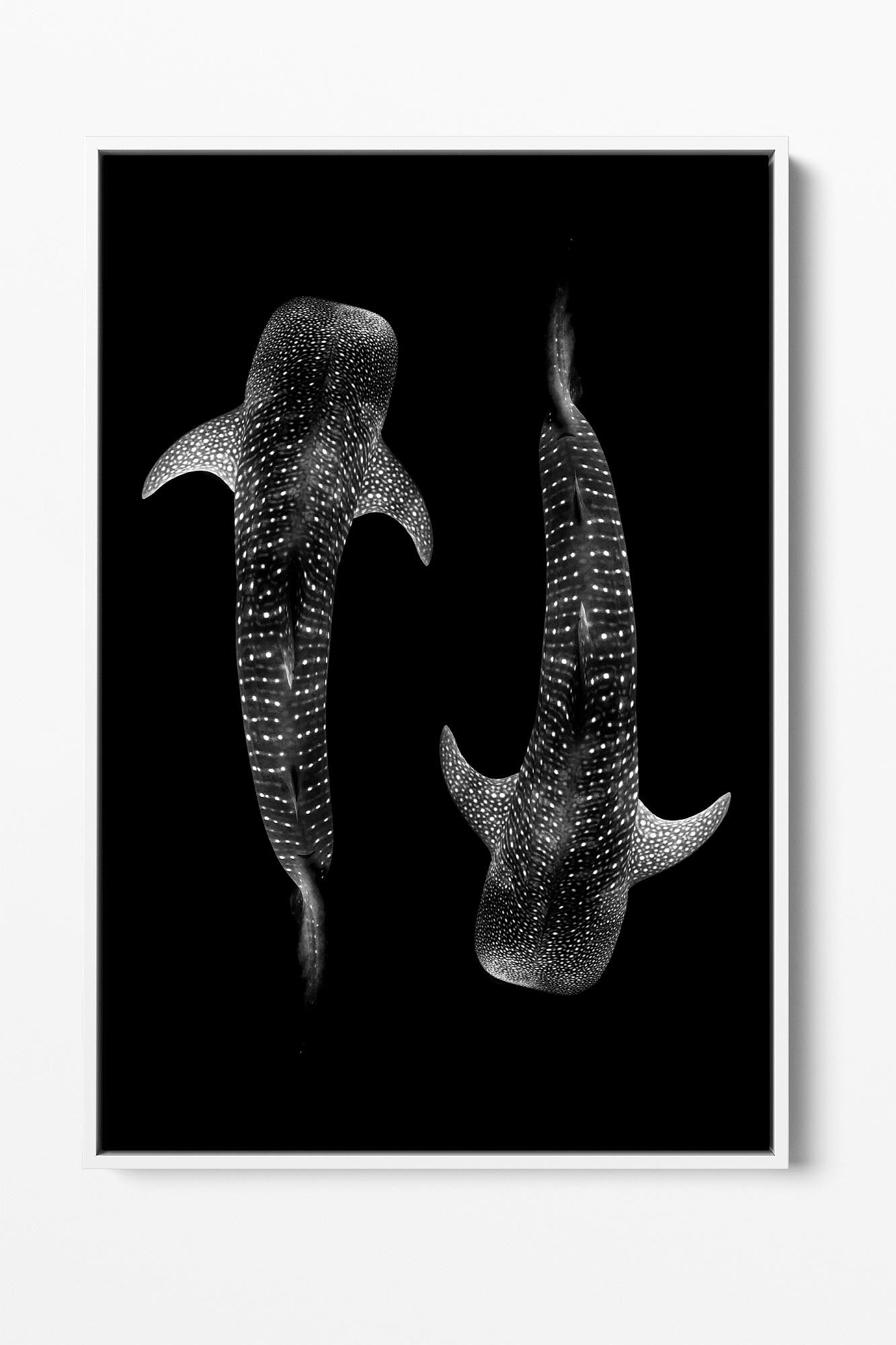 Yin & Yang Whale Shark | Vertical