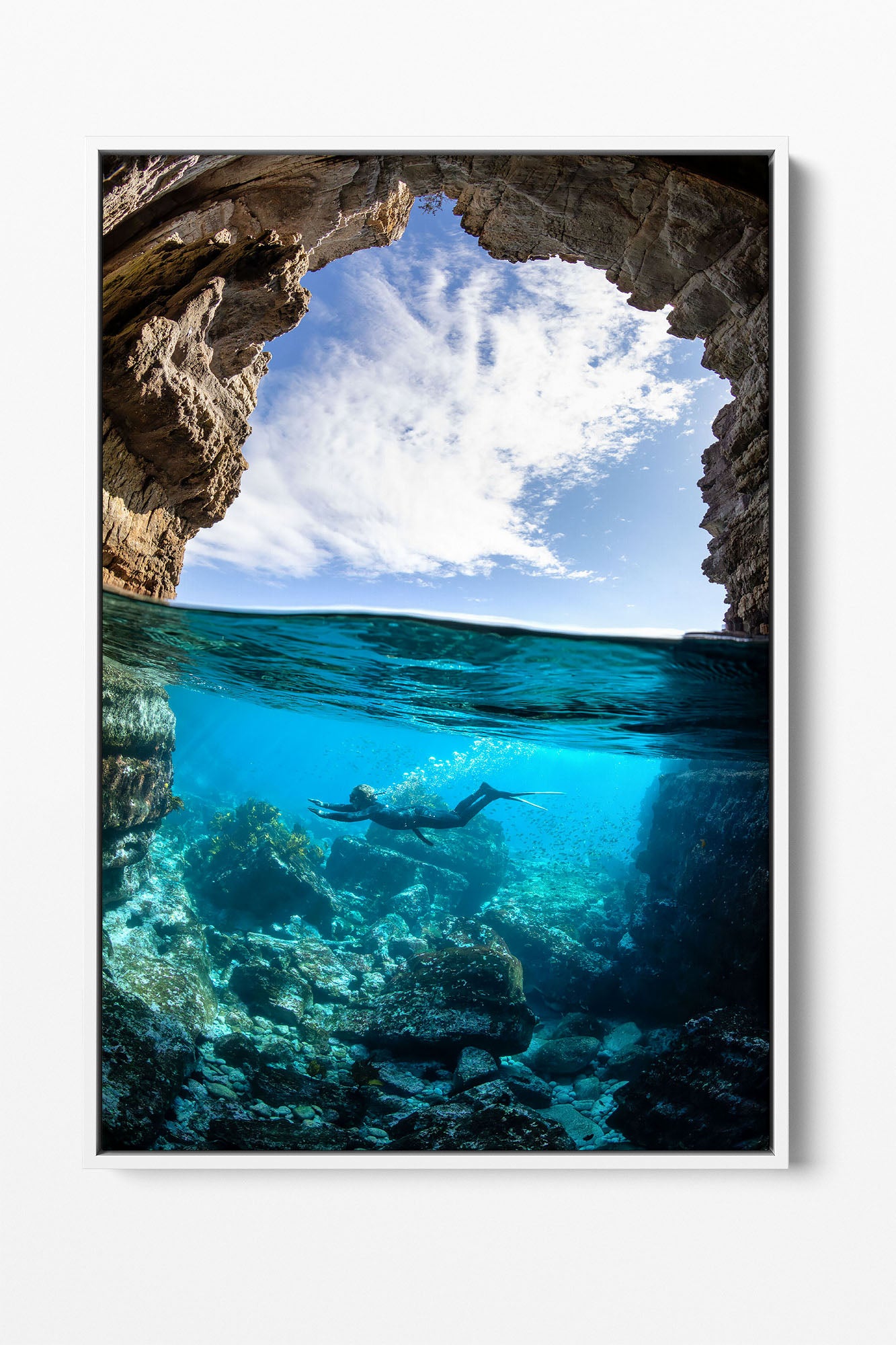 Dive In | Jervis Bay