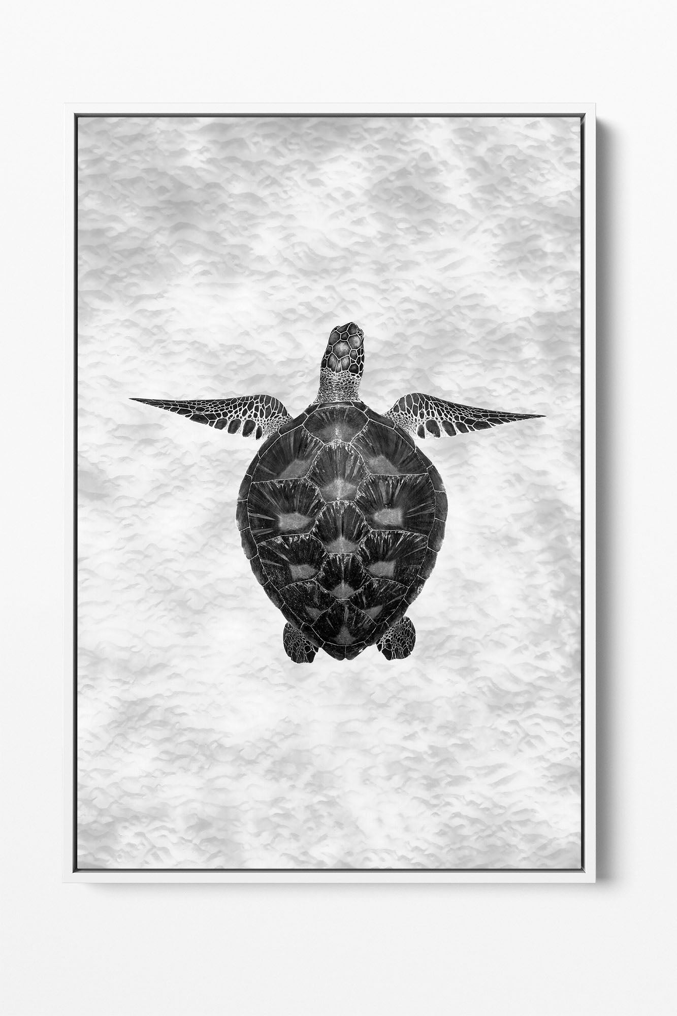 Green Sea Turtle Clarity Monochrome | Vertical