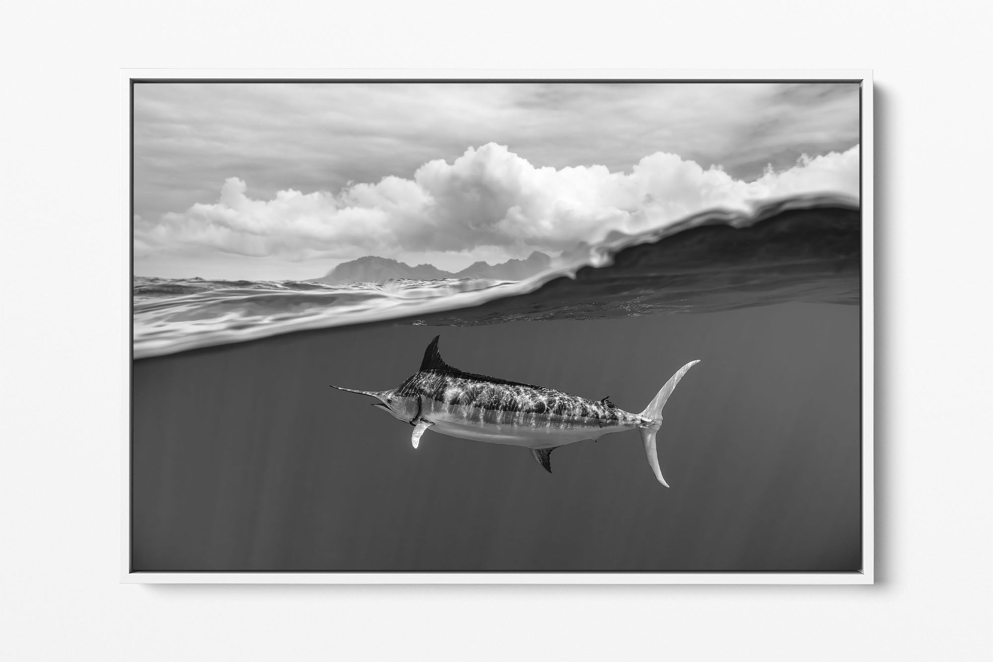 Blue Marlin Monochrome