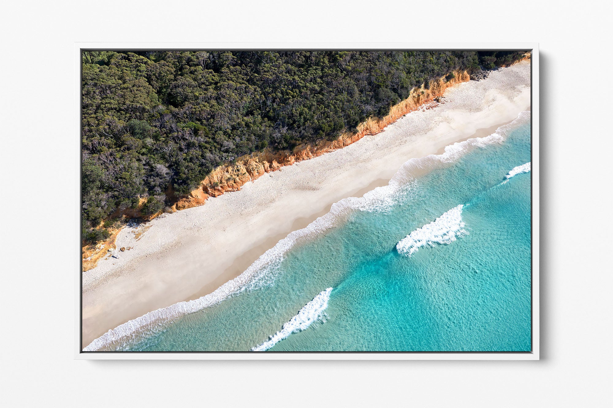 Nelsons Beach Bush Meets The Sea | Jervis Bay