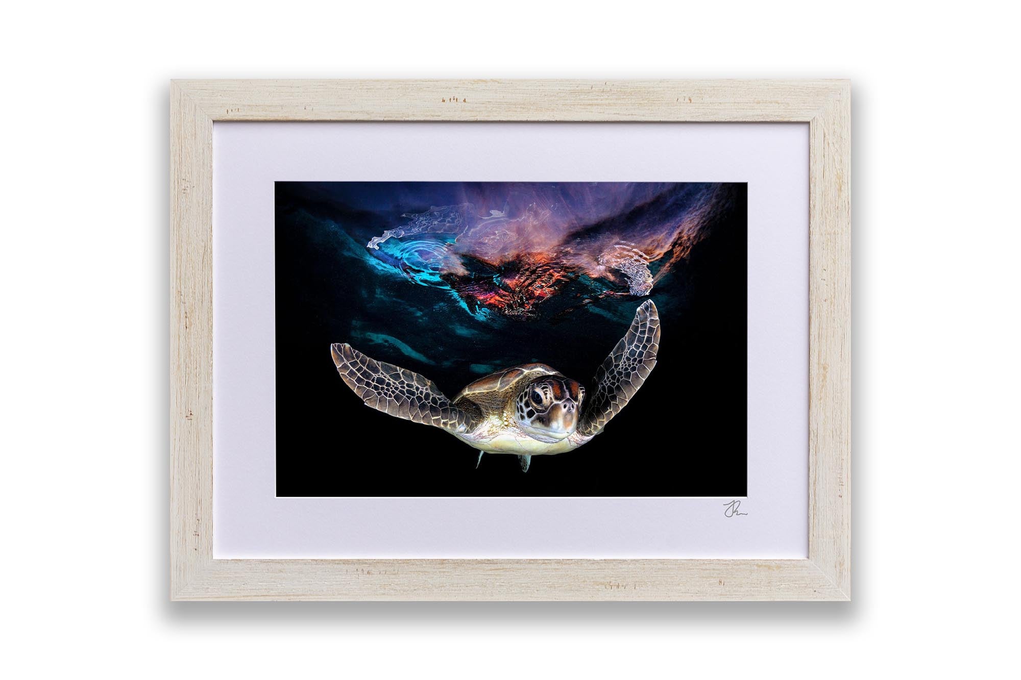 Galactic Turtle | Great Barrier Reef