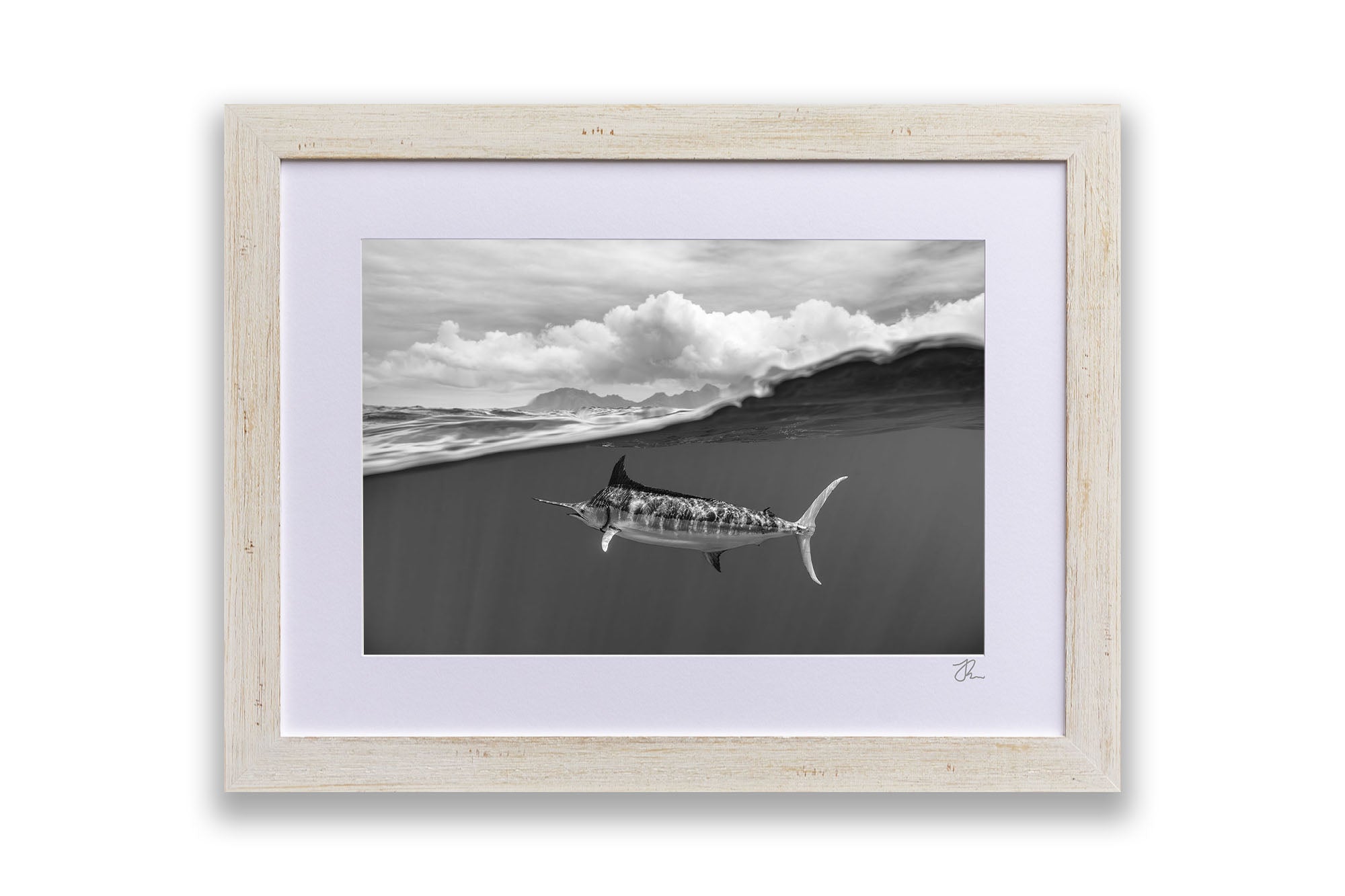 Blue Marlin Monochrome