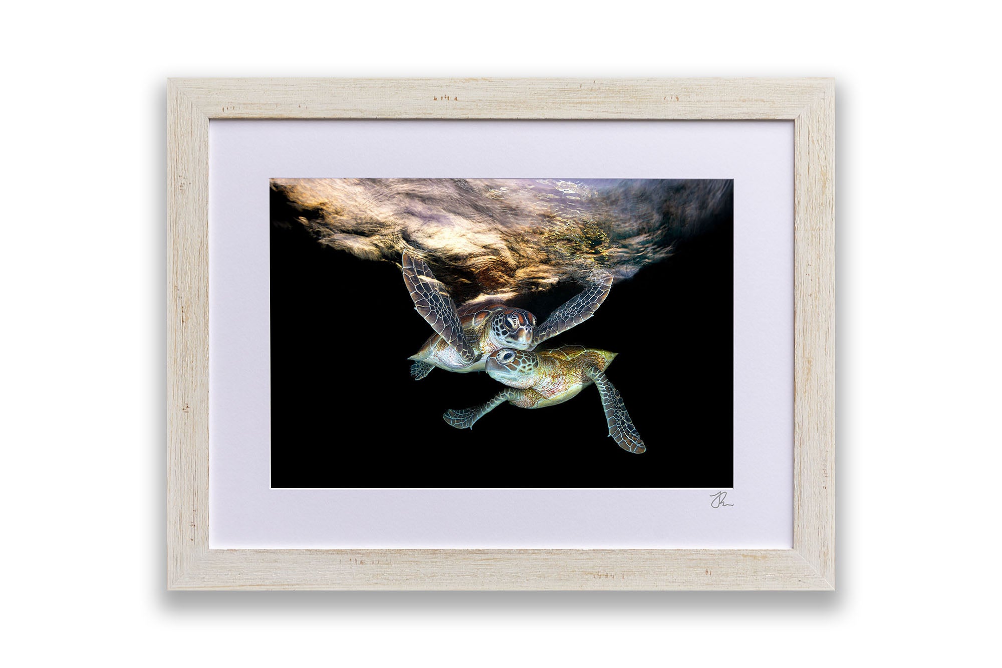 Double Trouble | Great Barrier Reef