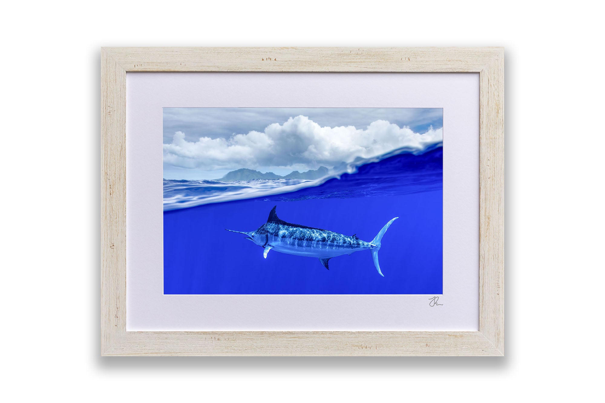 Over Under Blue Marlin