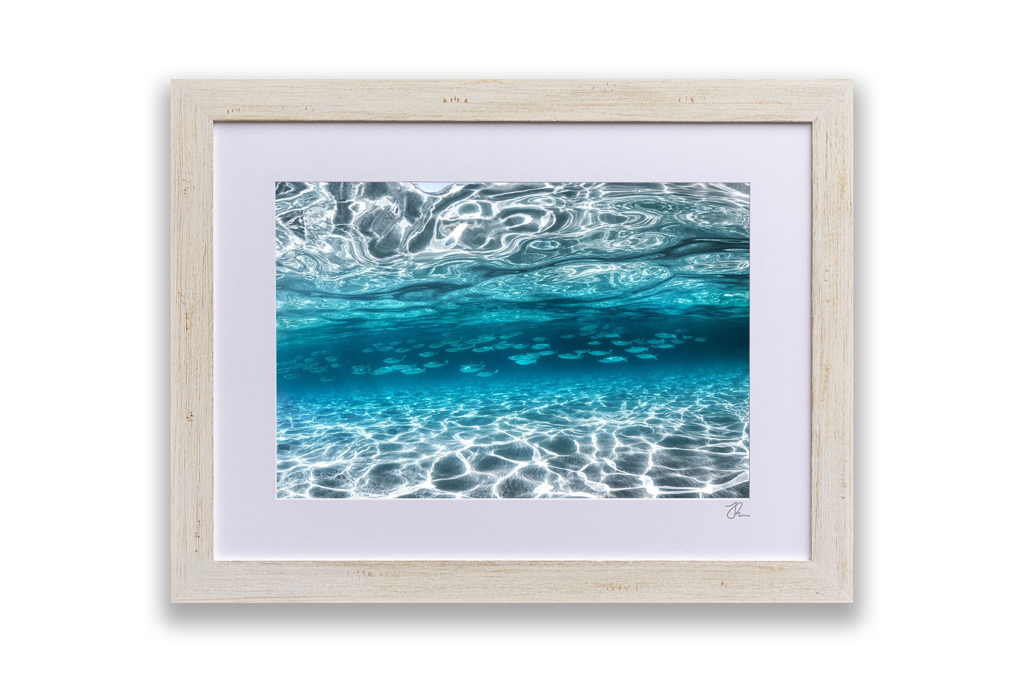 School of Fish Clarity | Jervis Bay