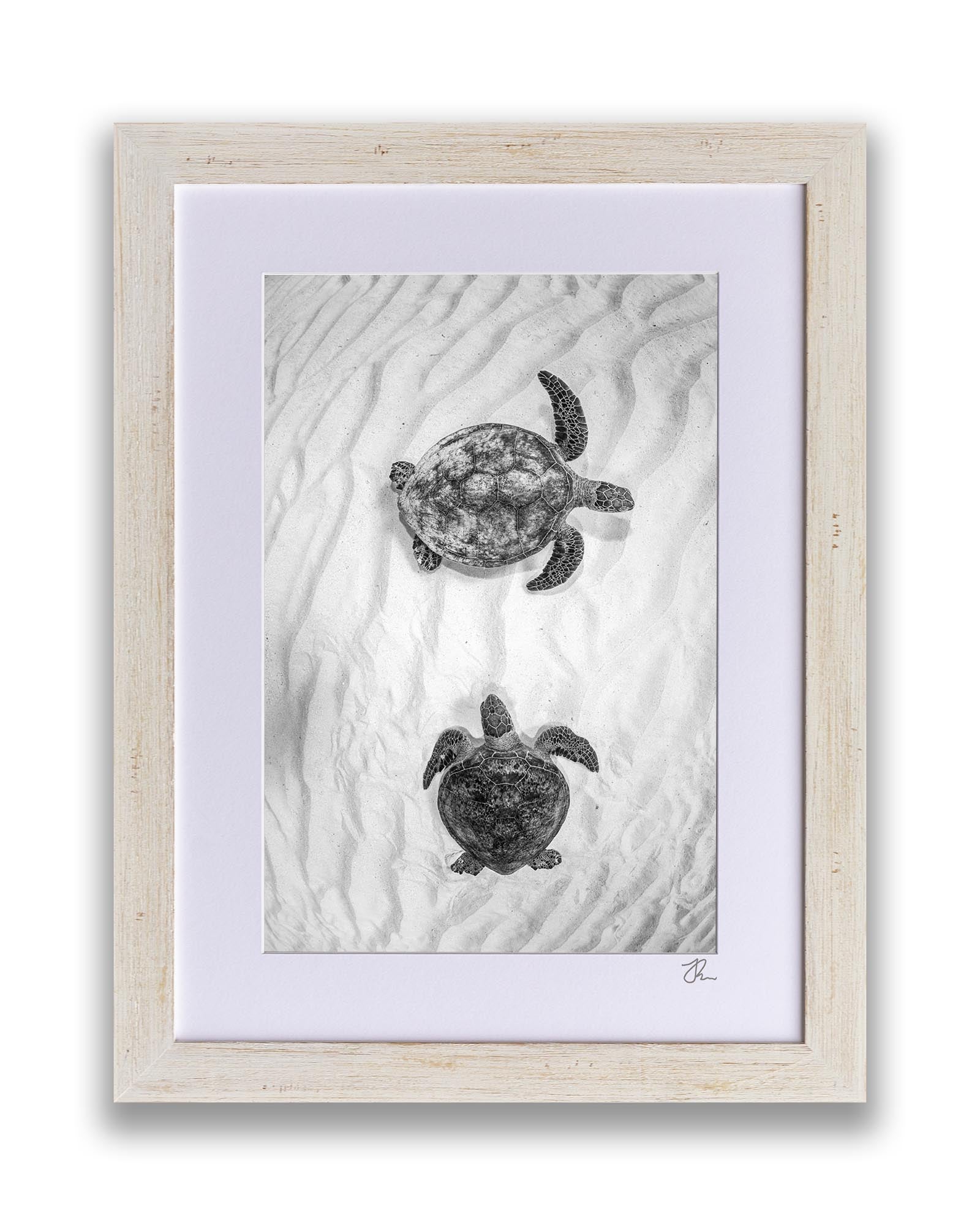 Twin Turtle Textures | Vertical