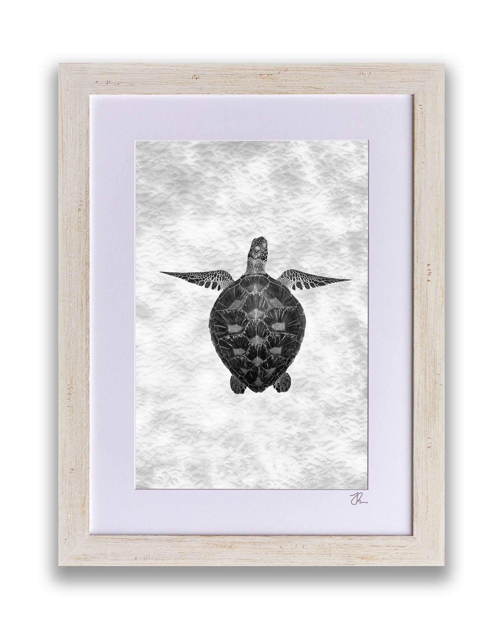 Green Sea Turtle Clarity Monochrome | Vertical