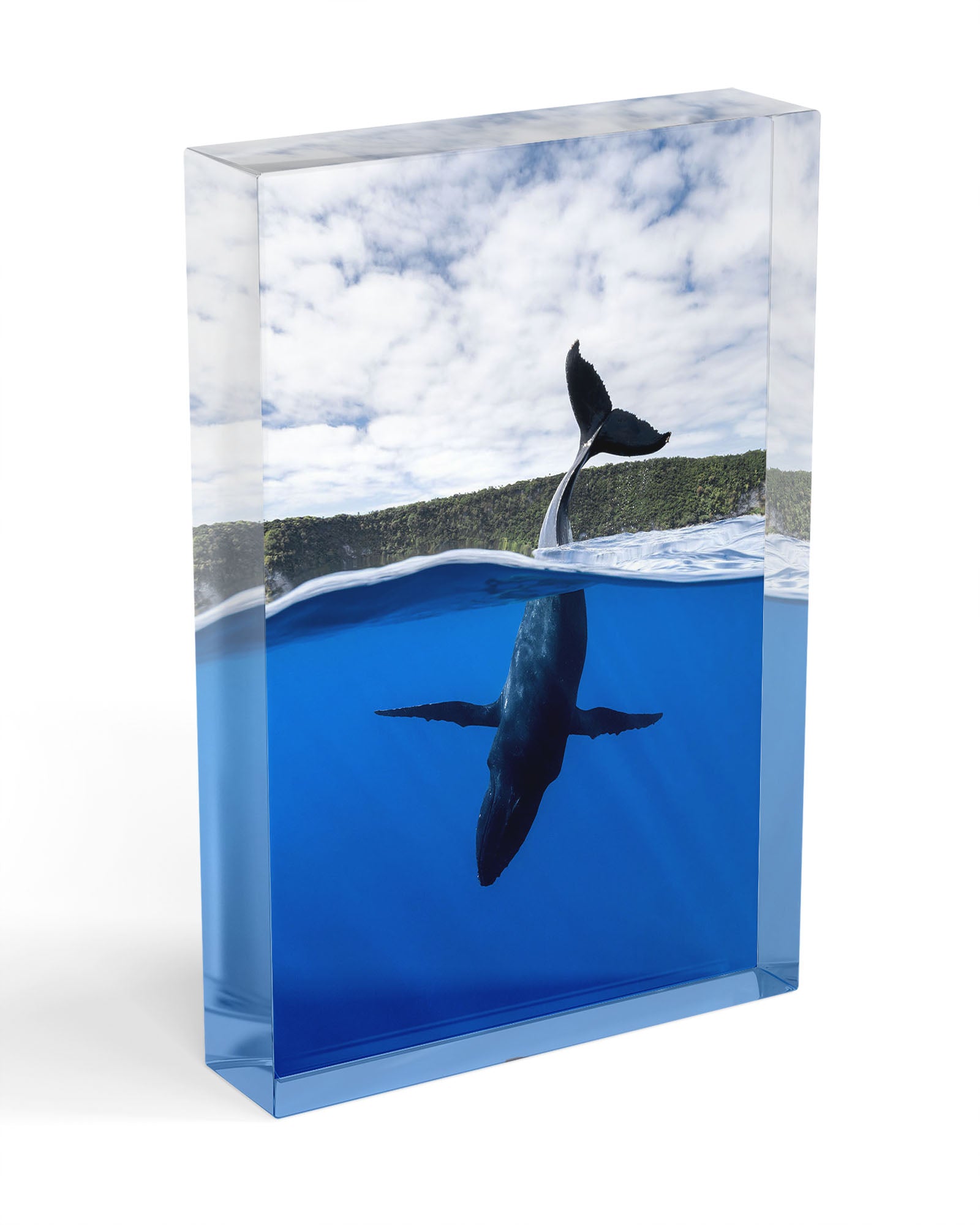 Tail Sailing Humpback Whale