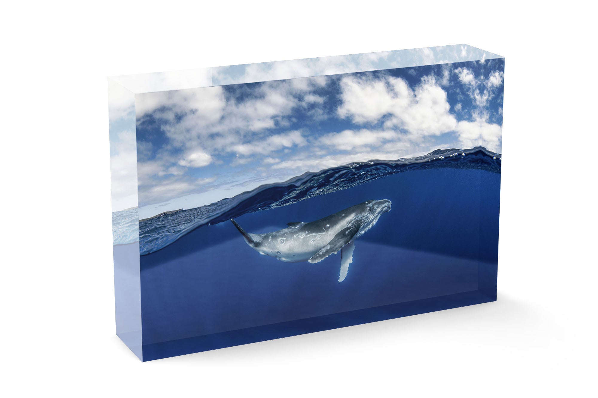 Humpback Whale Beneath The Clouds