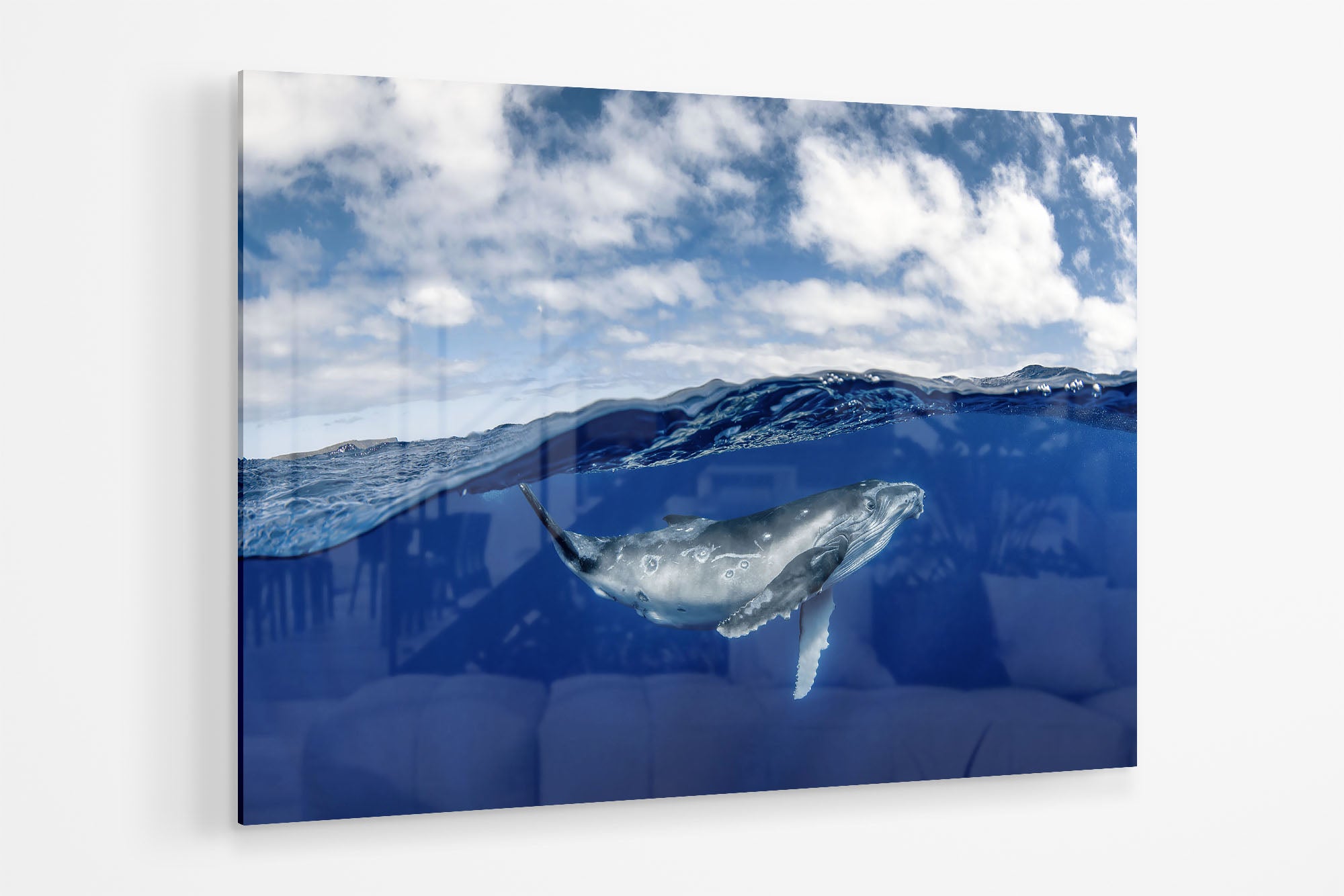 Humpback Whale Beneath The Clouds