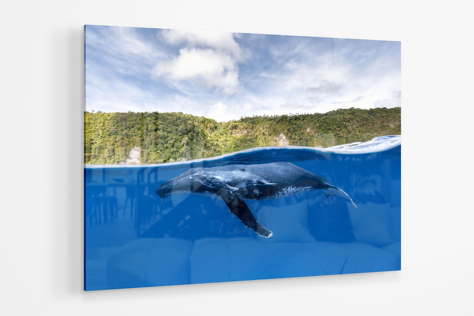 Humpback Whales | Between Two Worlds