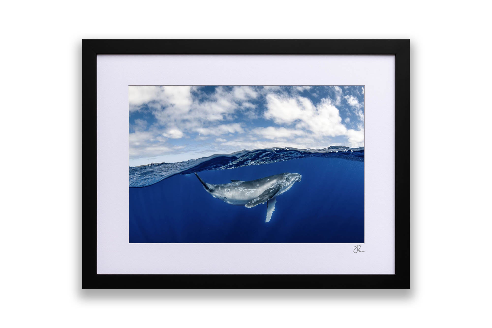 Humpback Whale Beneath The Clouds