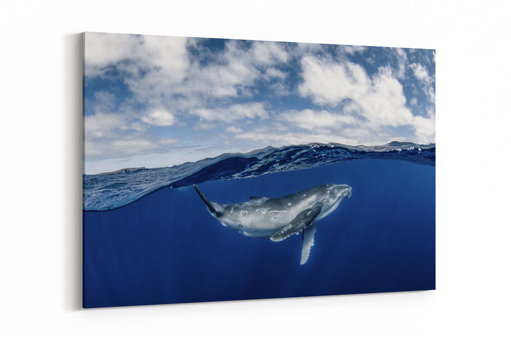 Humpback Whale Beneath The Clouds