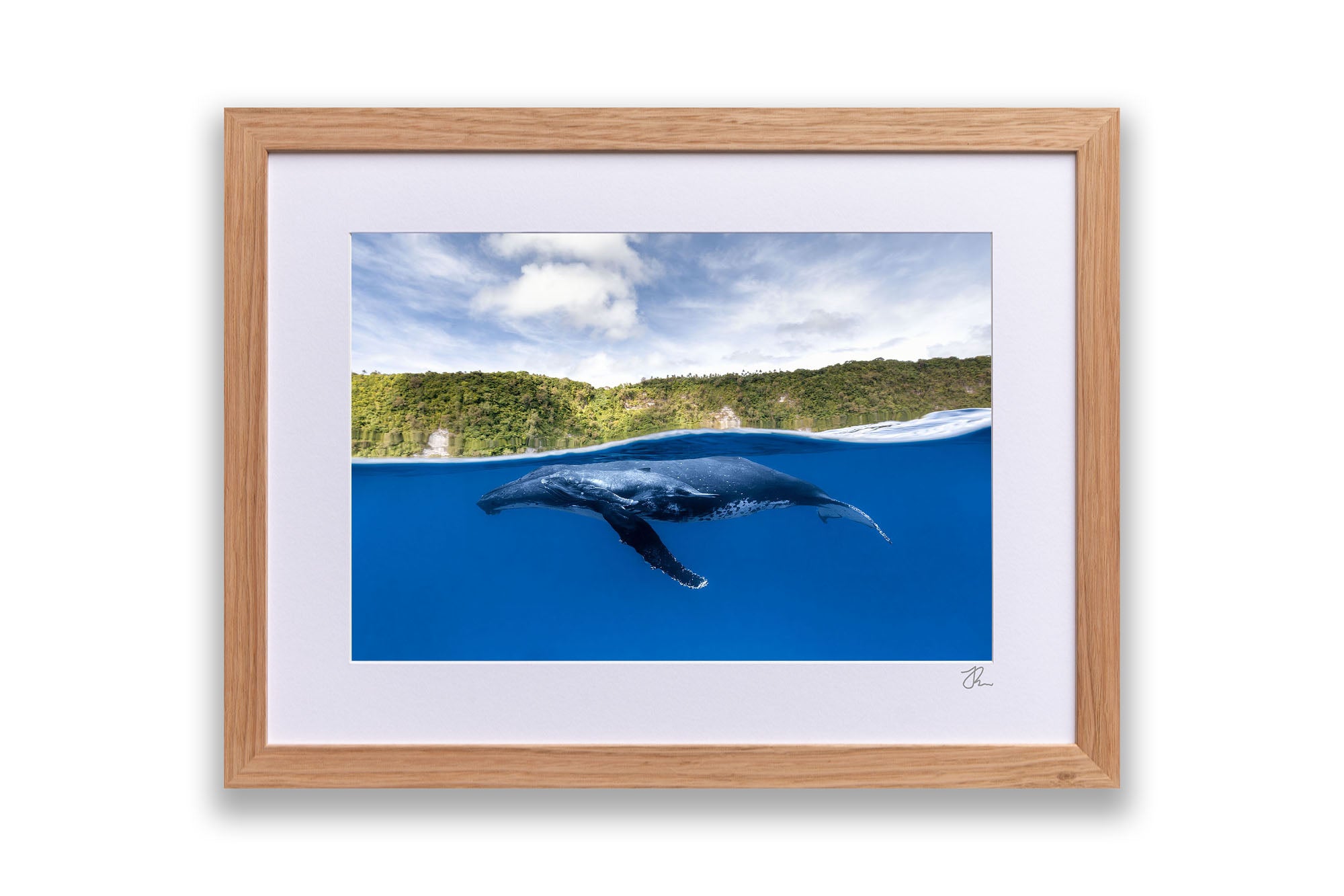 Humpback Whales | Between Two Worlds