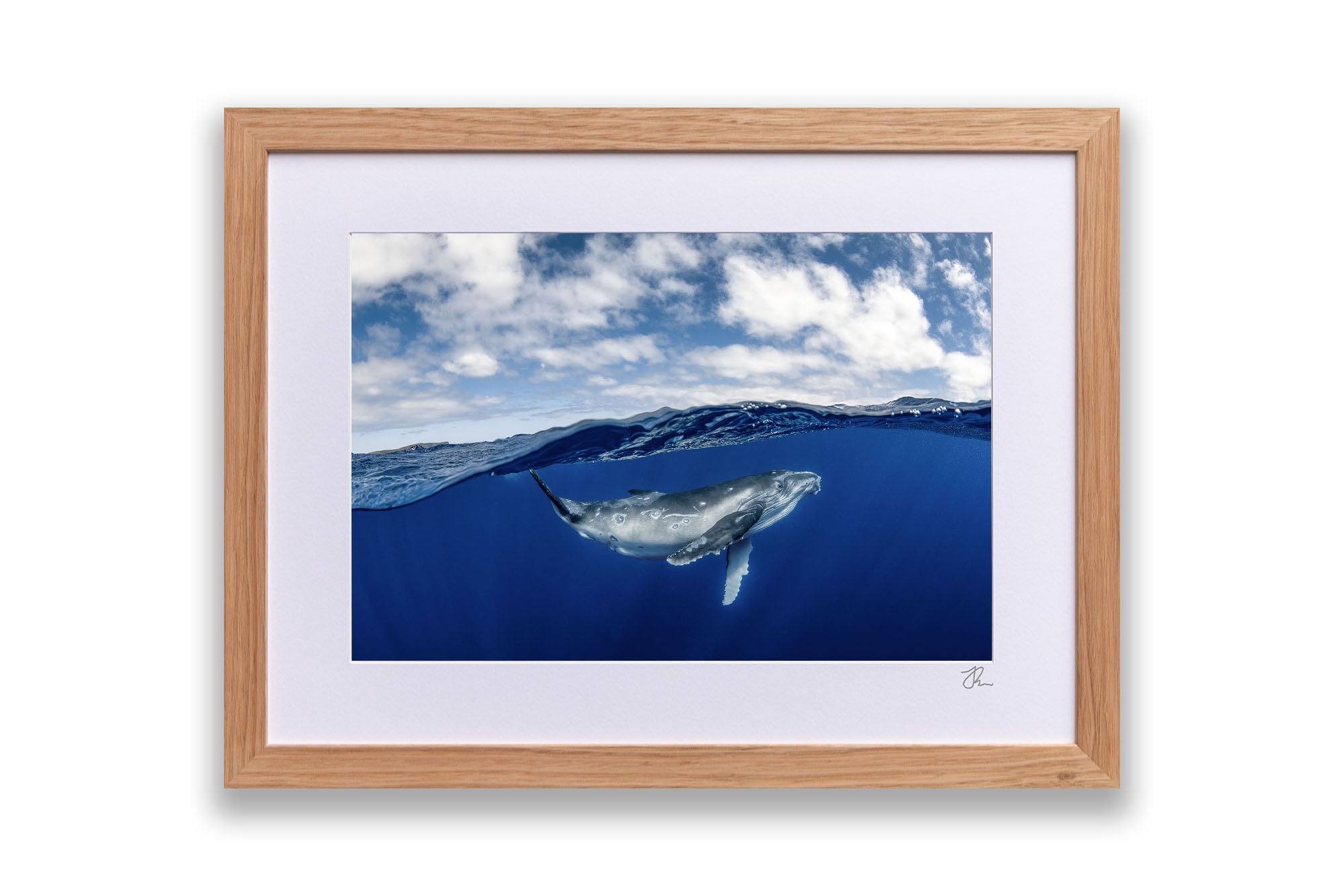 Humpback Whale Beneath The Clouds