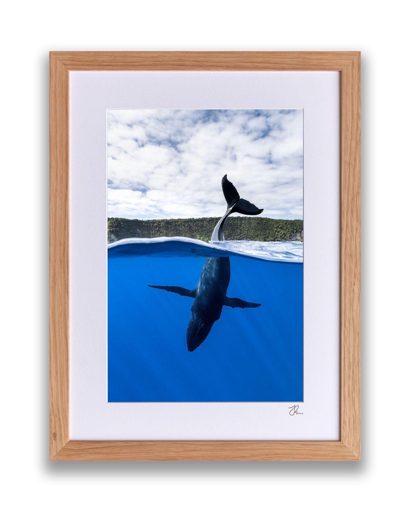 Tail Sailing Humpback Whale