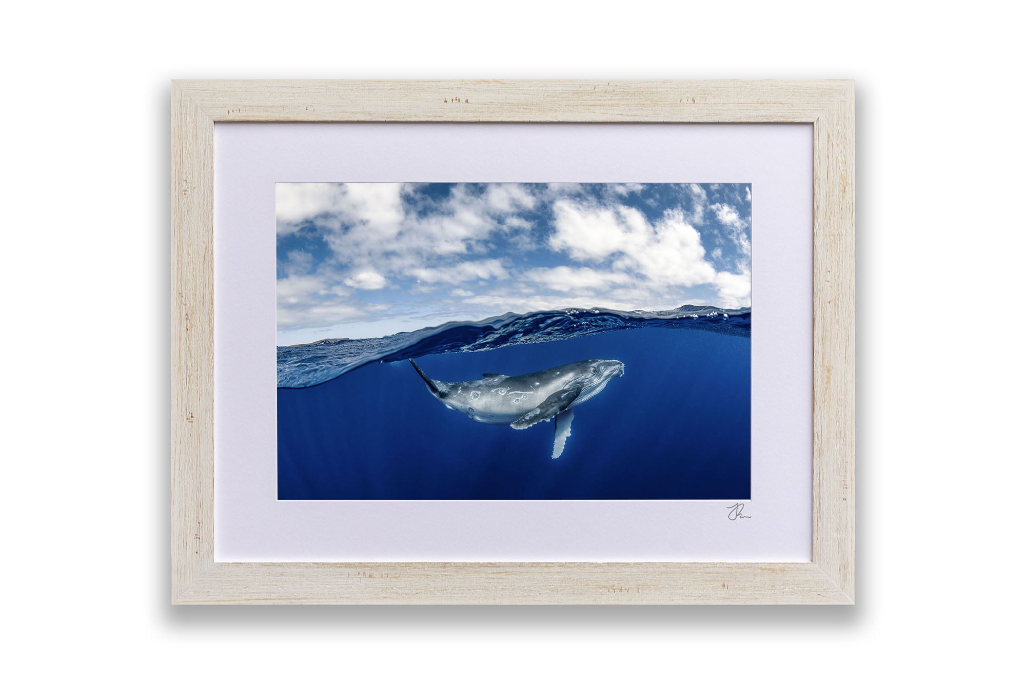 Humpback Whale Beneath The Clouds