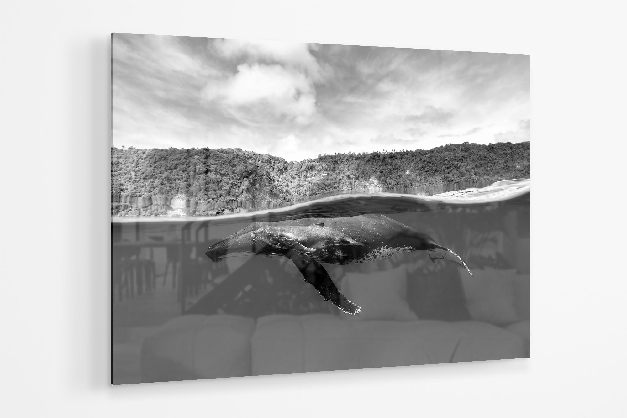 Humpback Whales Between Two Worlds | Monochrome