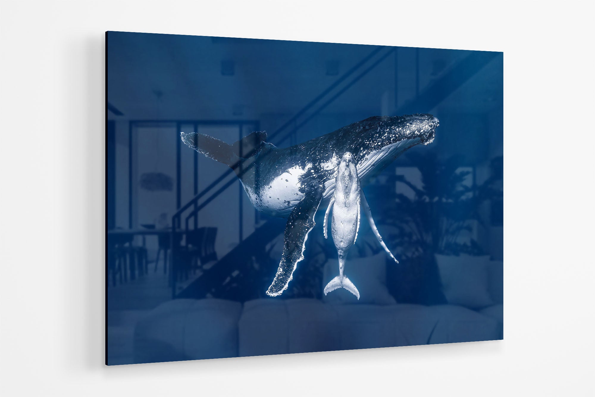 Mothers Embrace | Humpback Whales