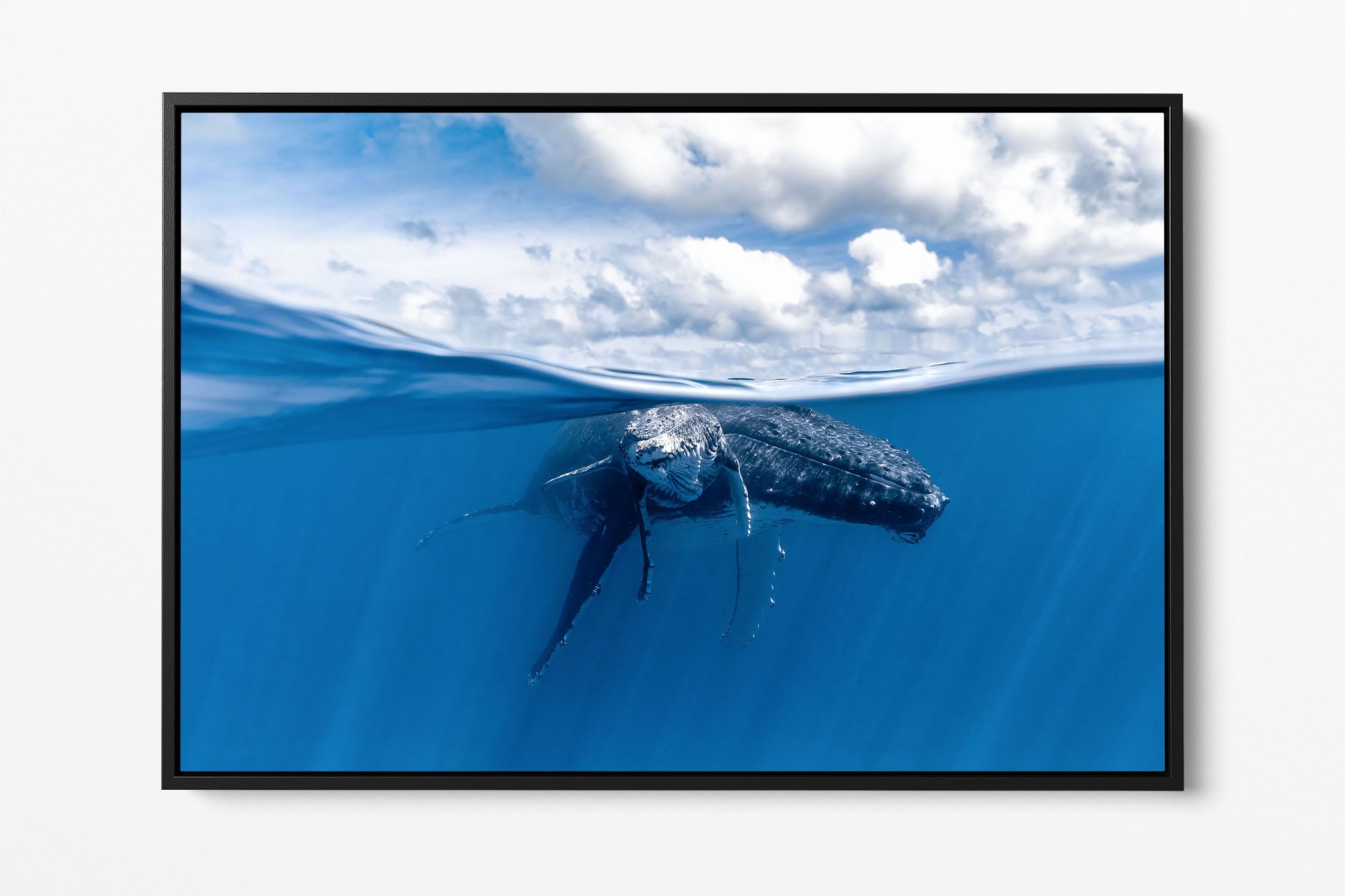 Mother and Calf Beneath The Clouds