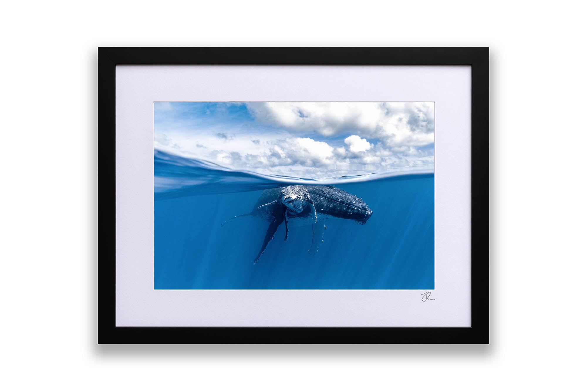 Mother and Calf Beneath The Clouds