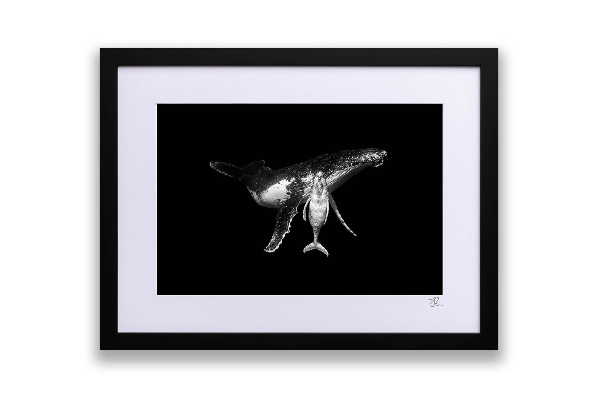 Mothers Embrace | Monochrome