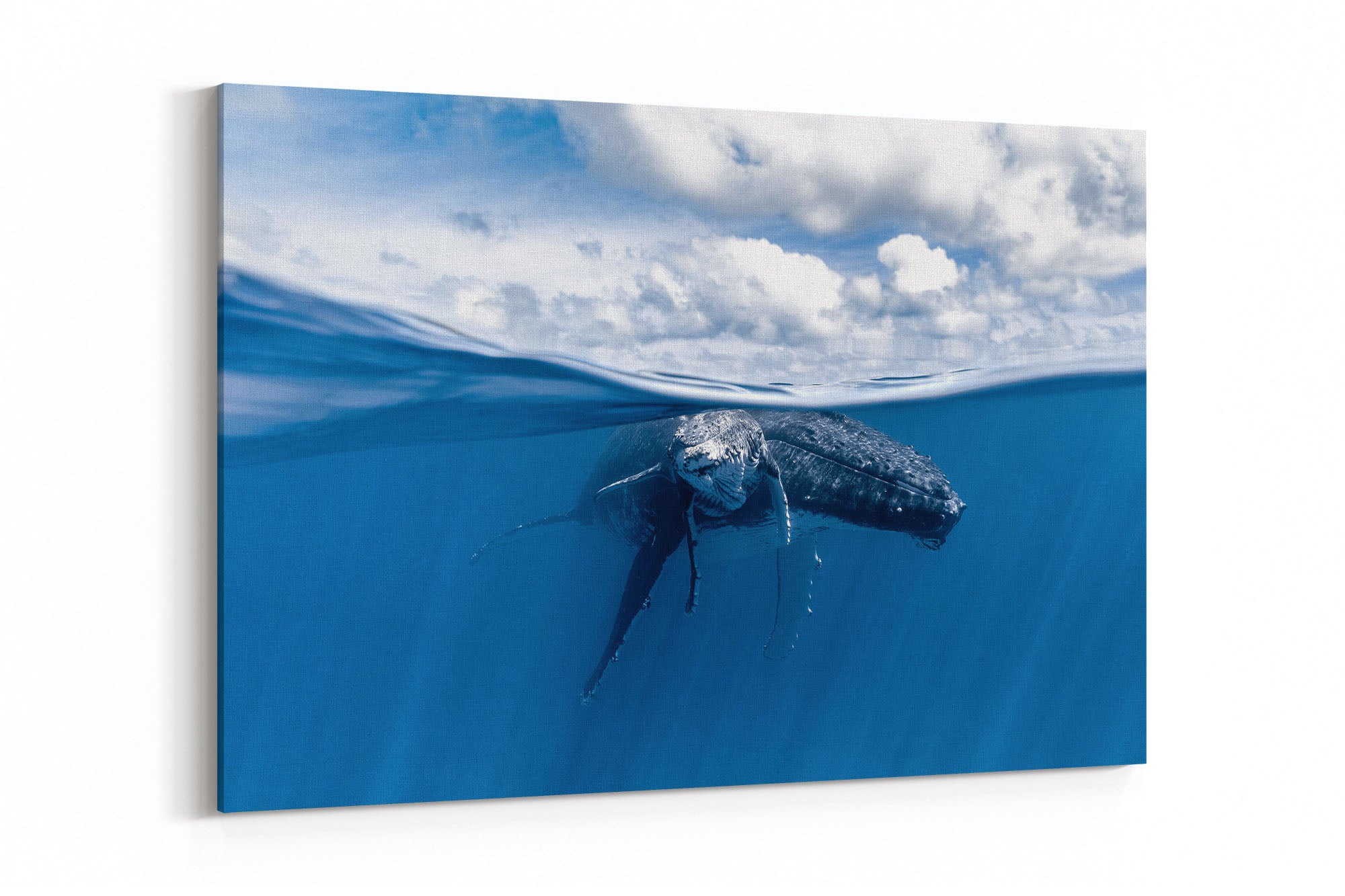 Mother and Calf Beneath The Clouds