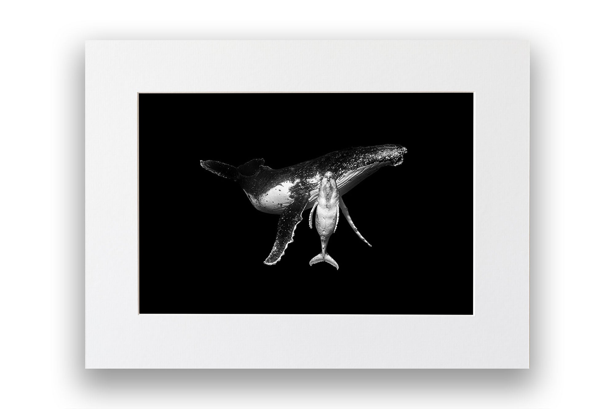 Mothers Embrace | Monochrome