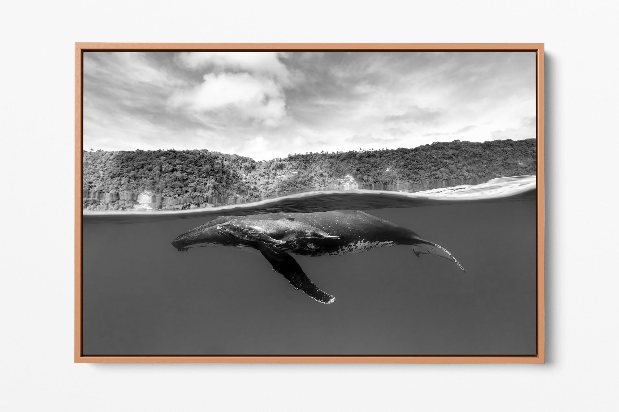 Humpback Whales Between Two Worlds | Monochrome