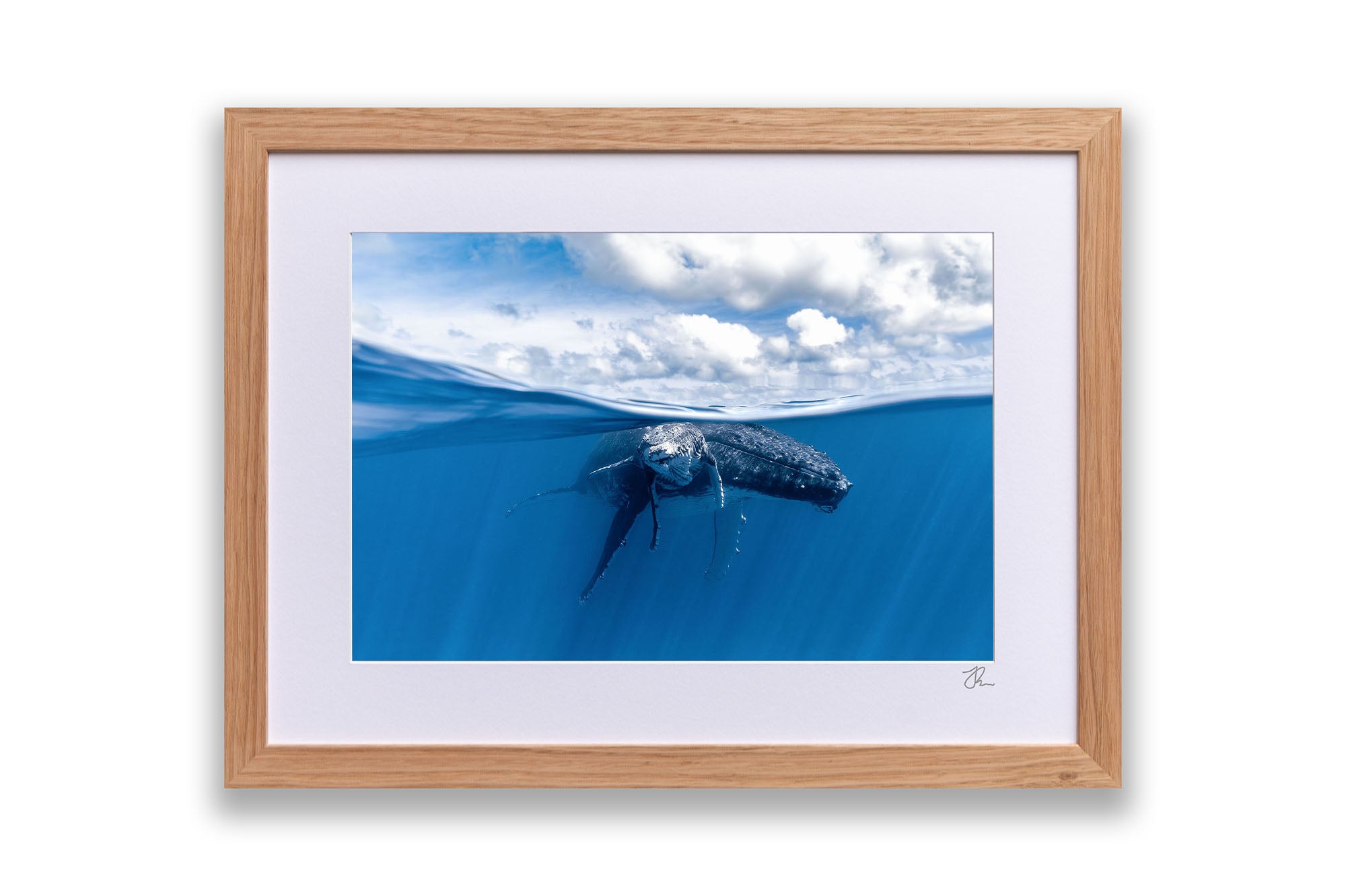 Mother and Calf Beneath The Clouds
