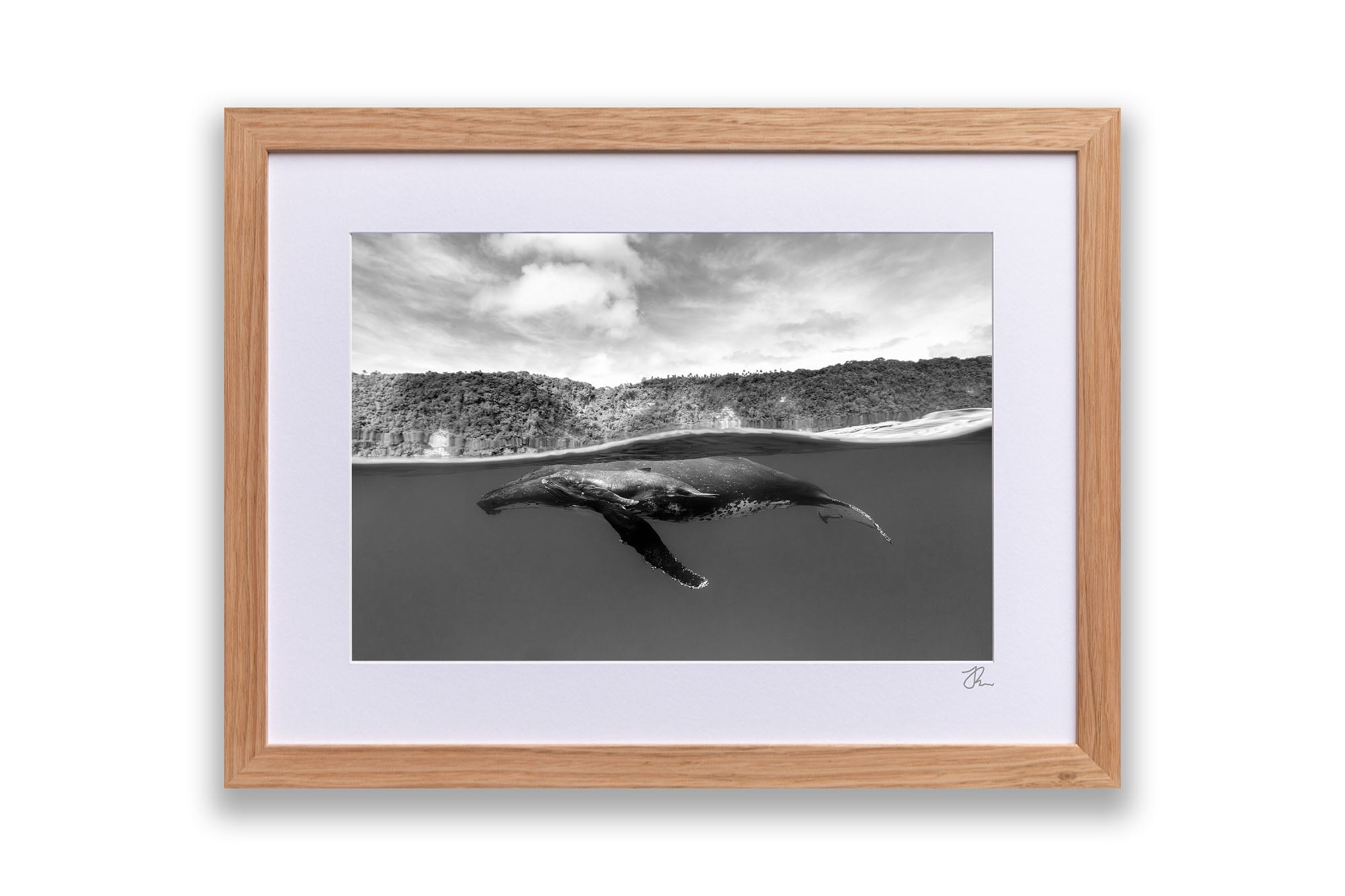 Humpback Whales Between Two Worlds | Monochrome