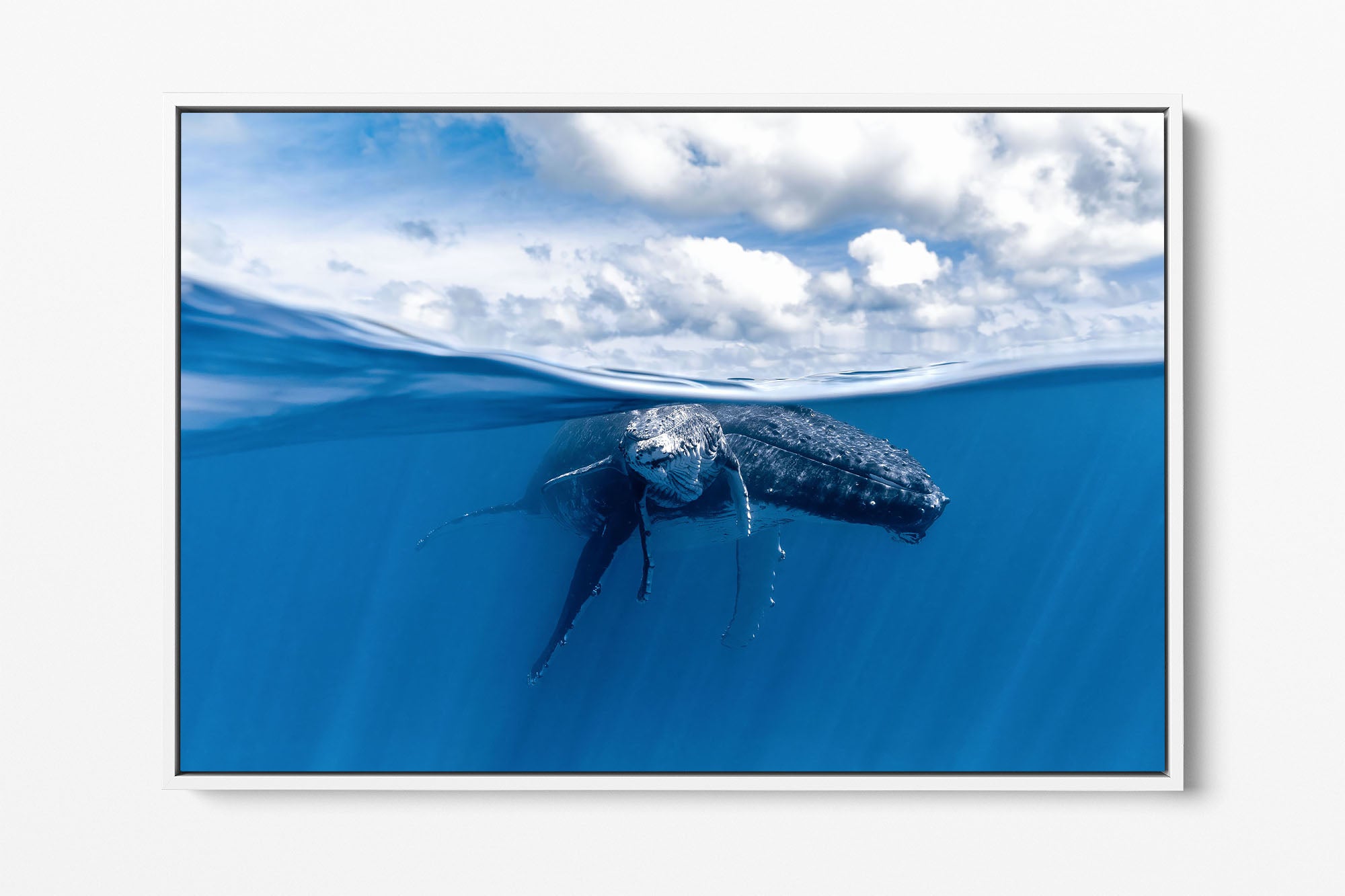 Mother and Calf Beneath The Clouds