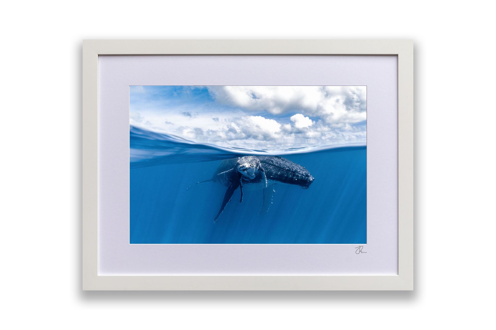 Mother and Calf Beneath The Clouds