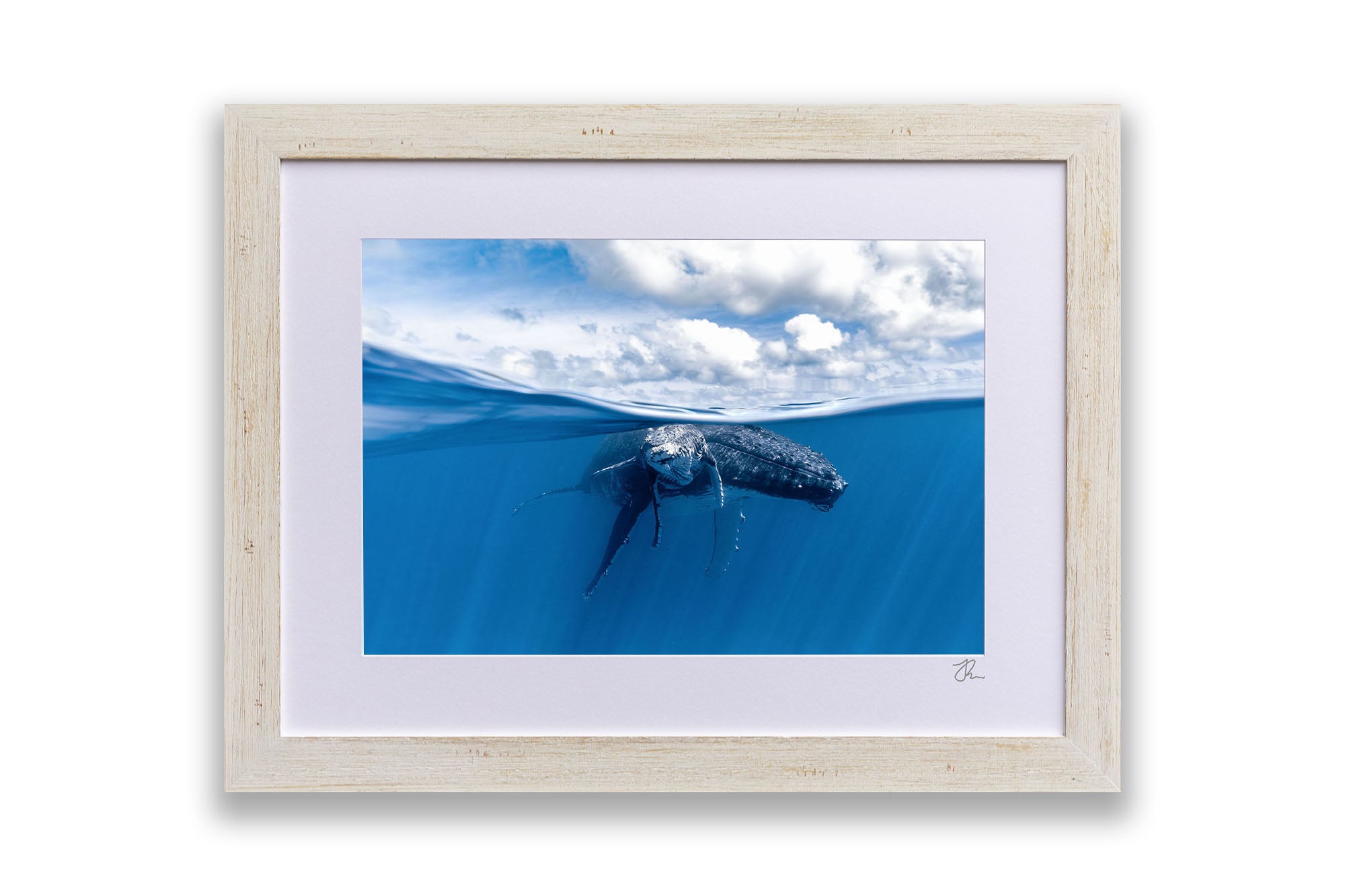 Mother and Calf Beneath The Clouds