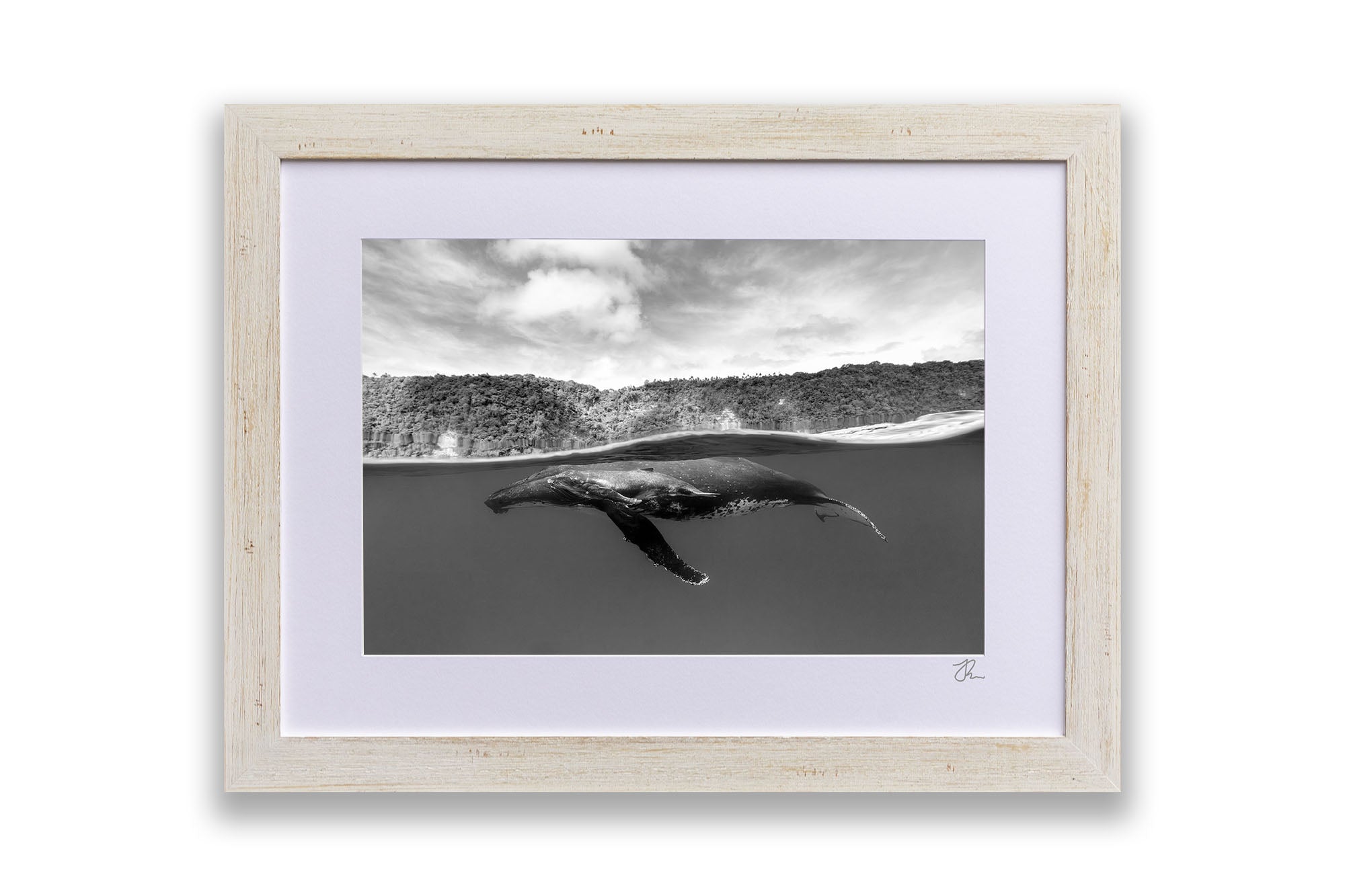 Humpback Whales Between Two Worlds | Monochrome